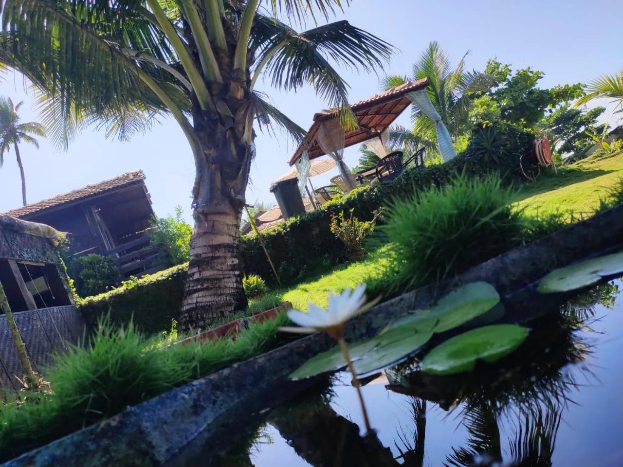 Garden in Lotus Sutra Beachfront Resort