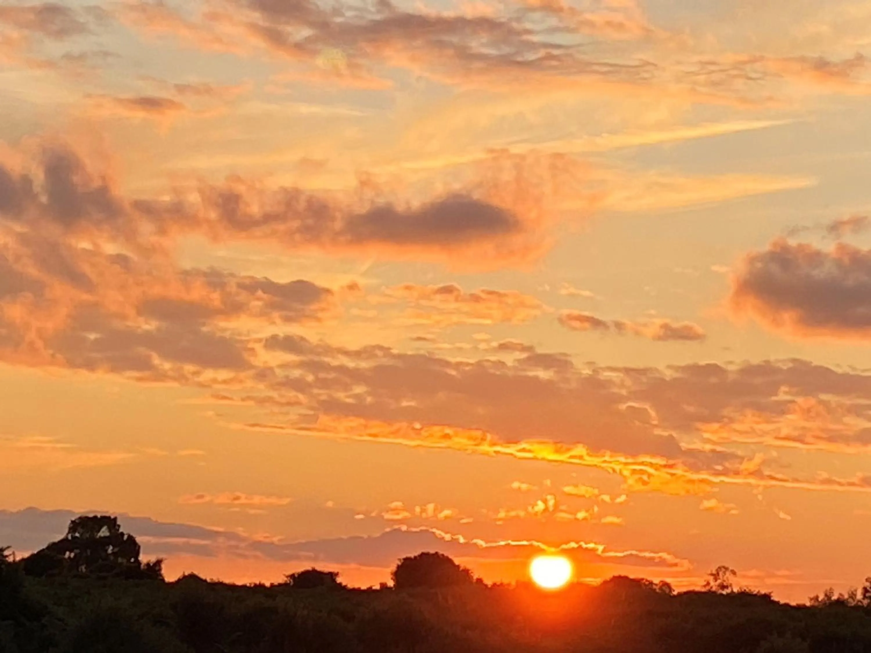 Natural landscape in The Dairyman Suite