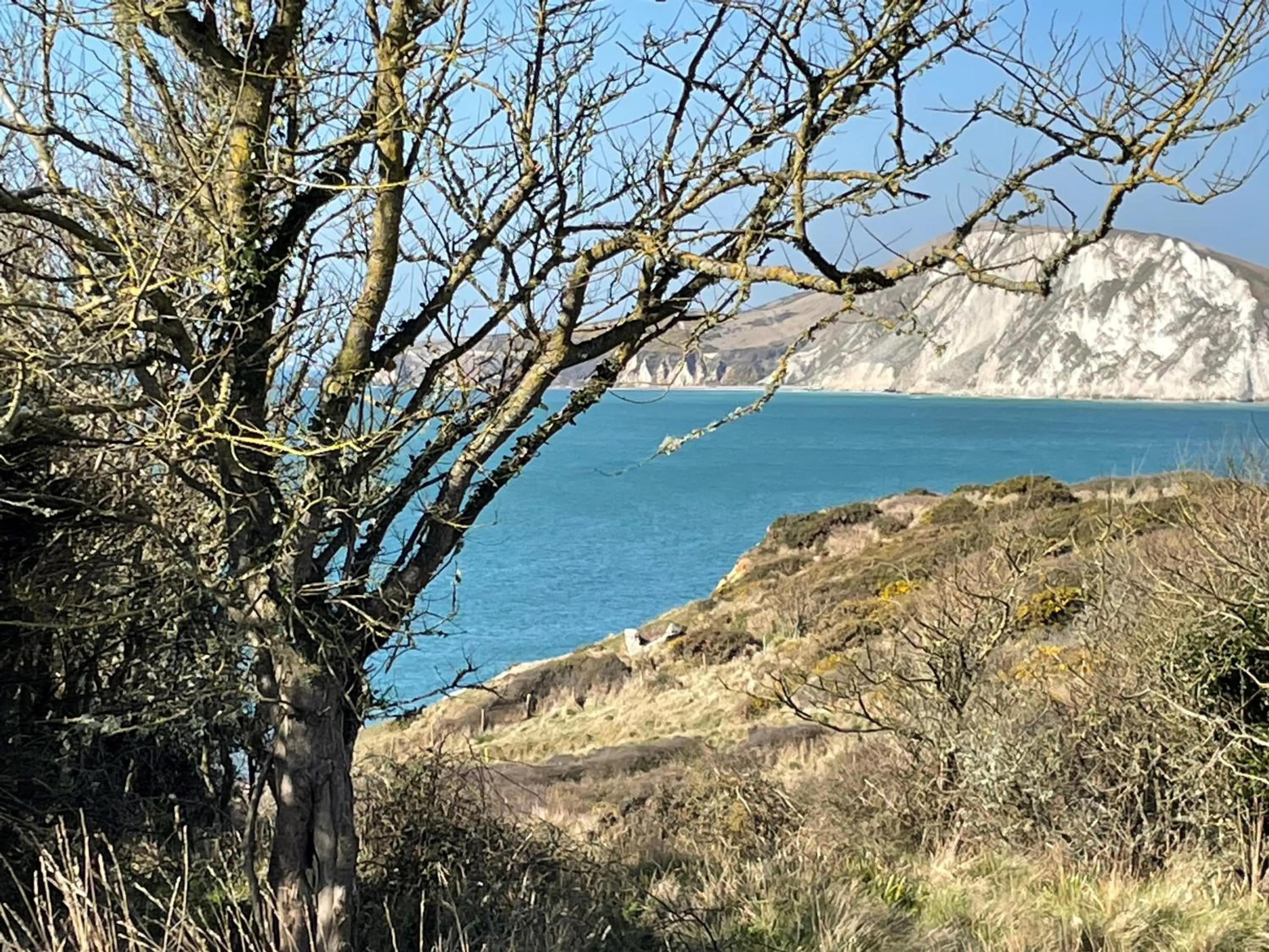 Spring in The Dairyman Suite