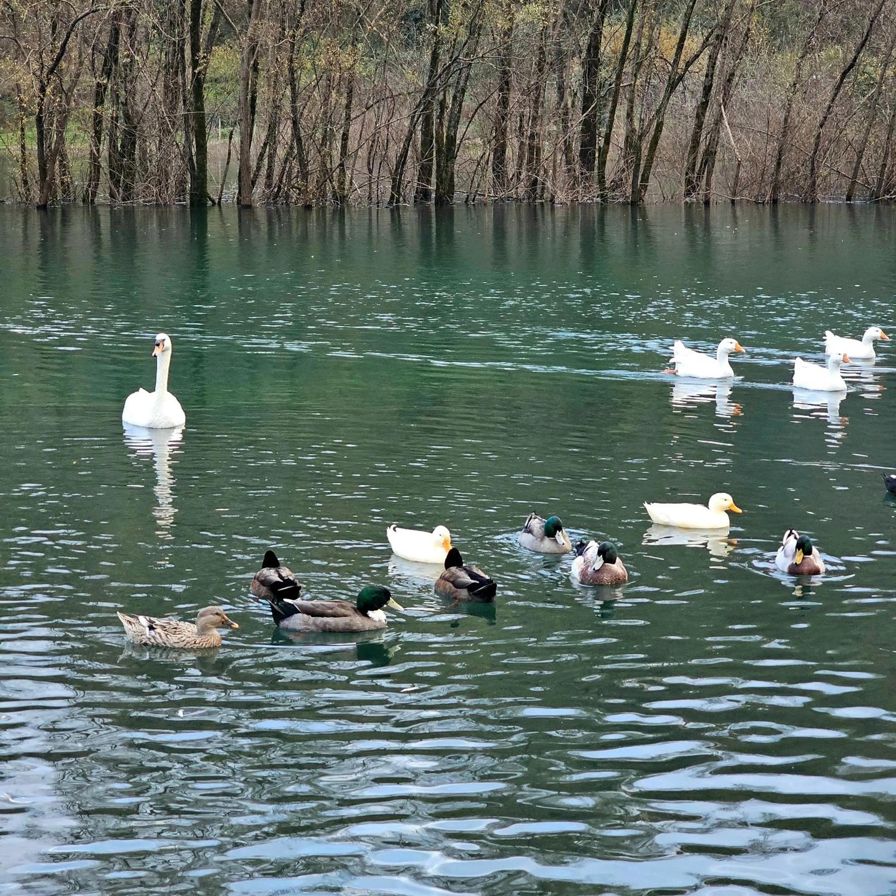 Balcony/Terrace in Hotel S Family Jovicevic