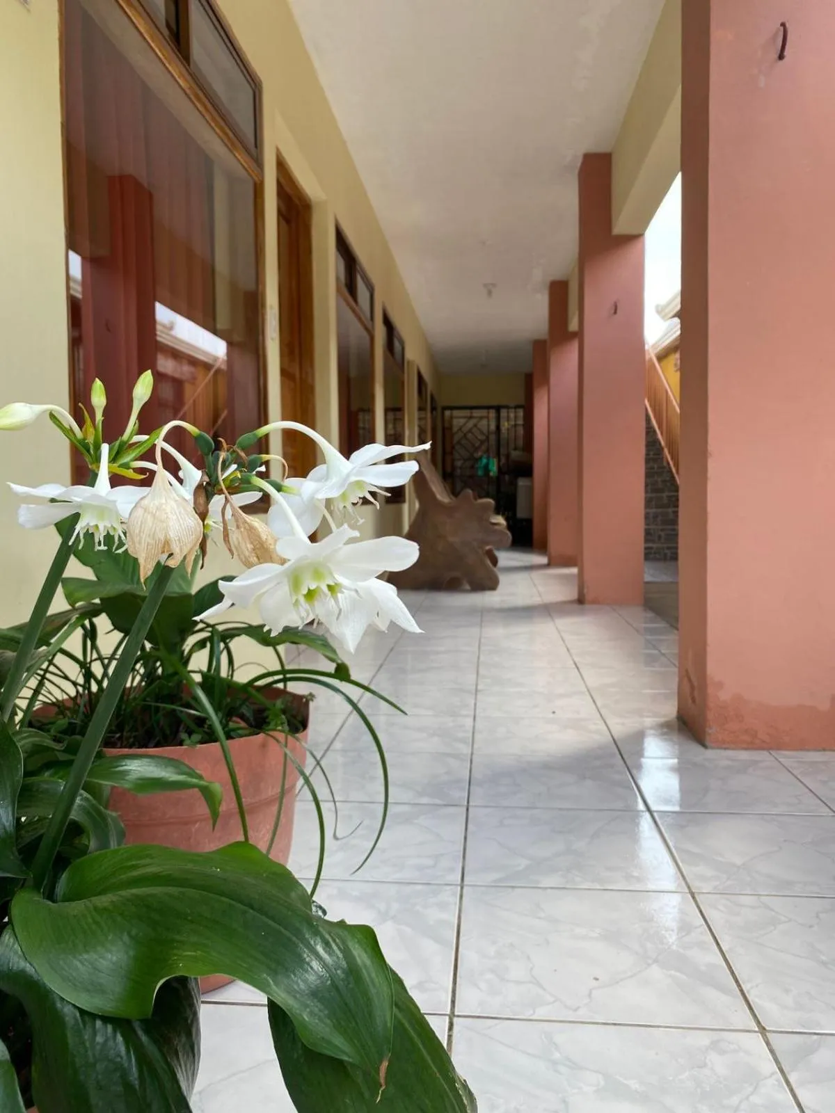 Garden in Hotel La Puesta Del Sol B&B