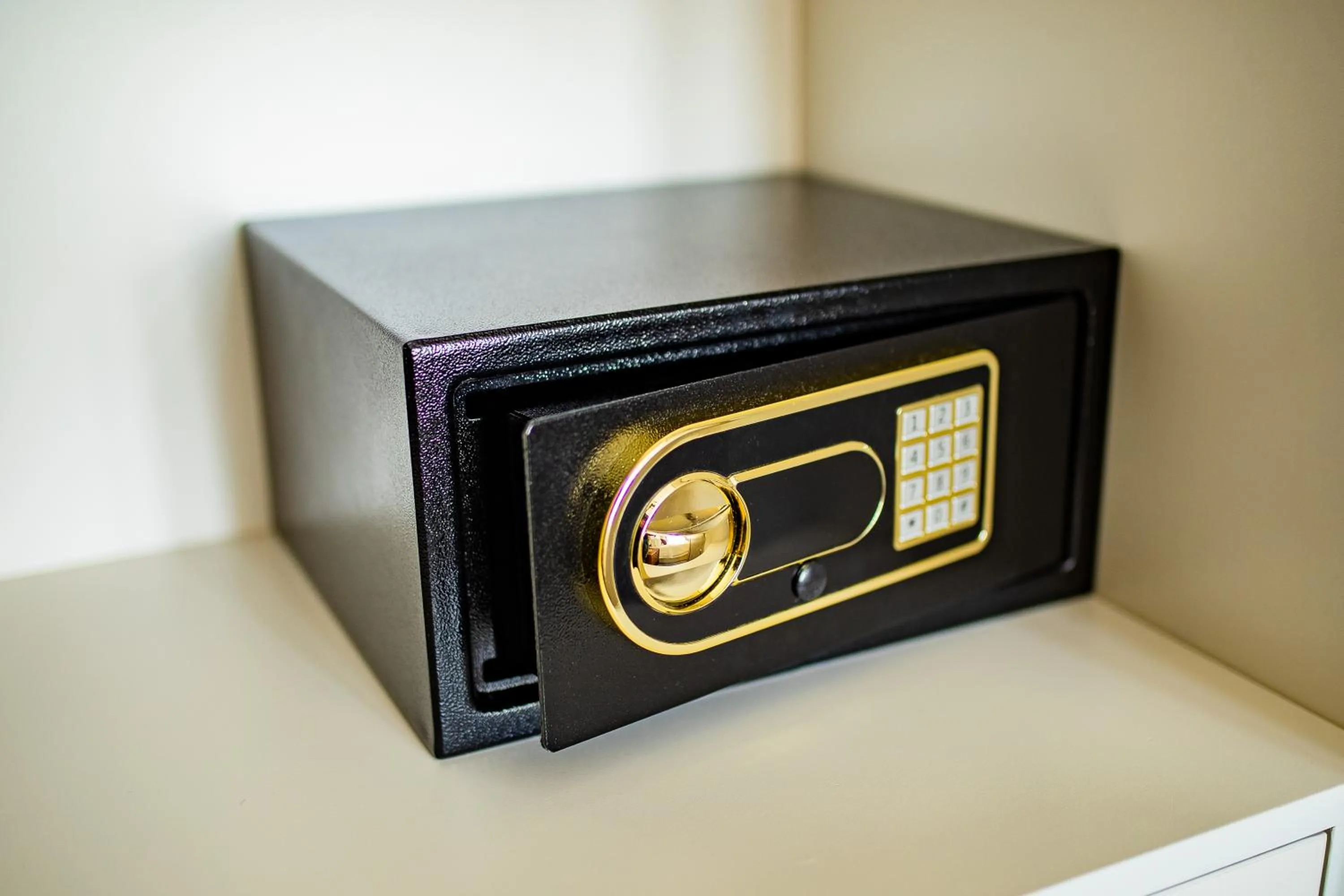 safe in LDS Hotel Belgrade