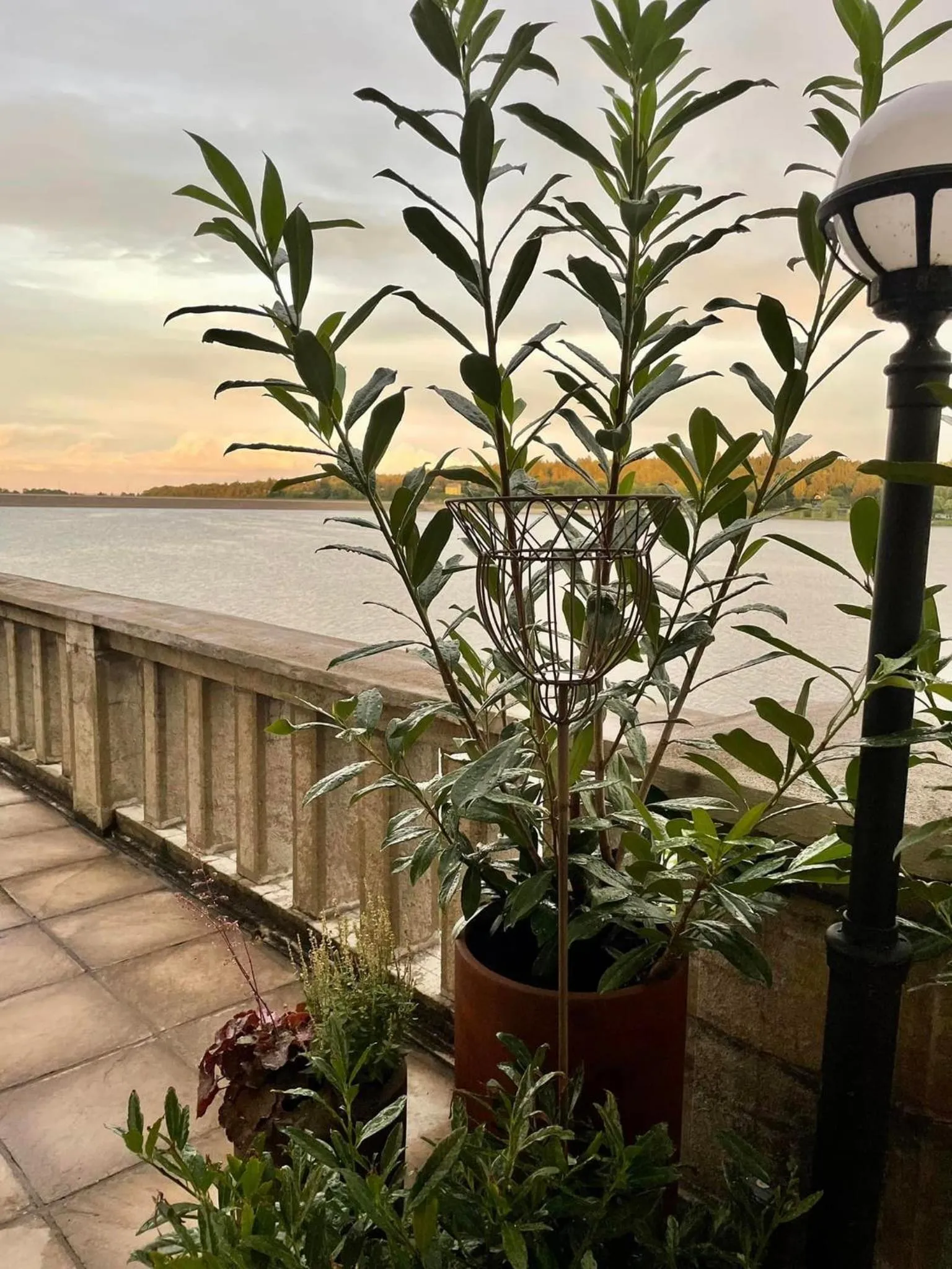 View (from property/room) in Hotel Plumlov