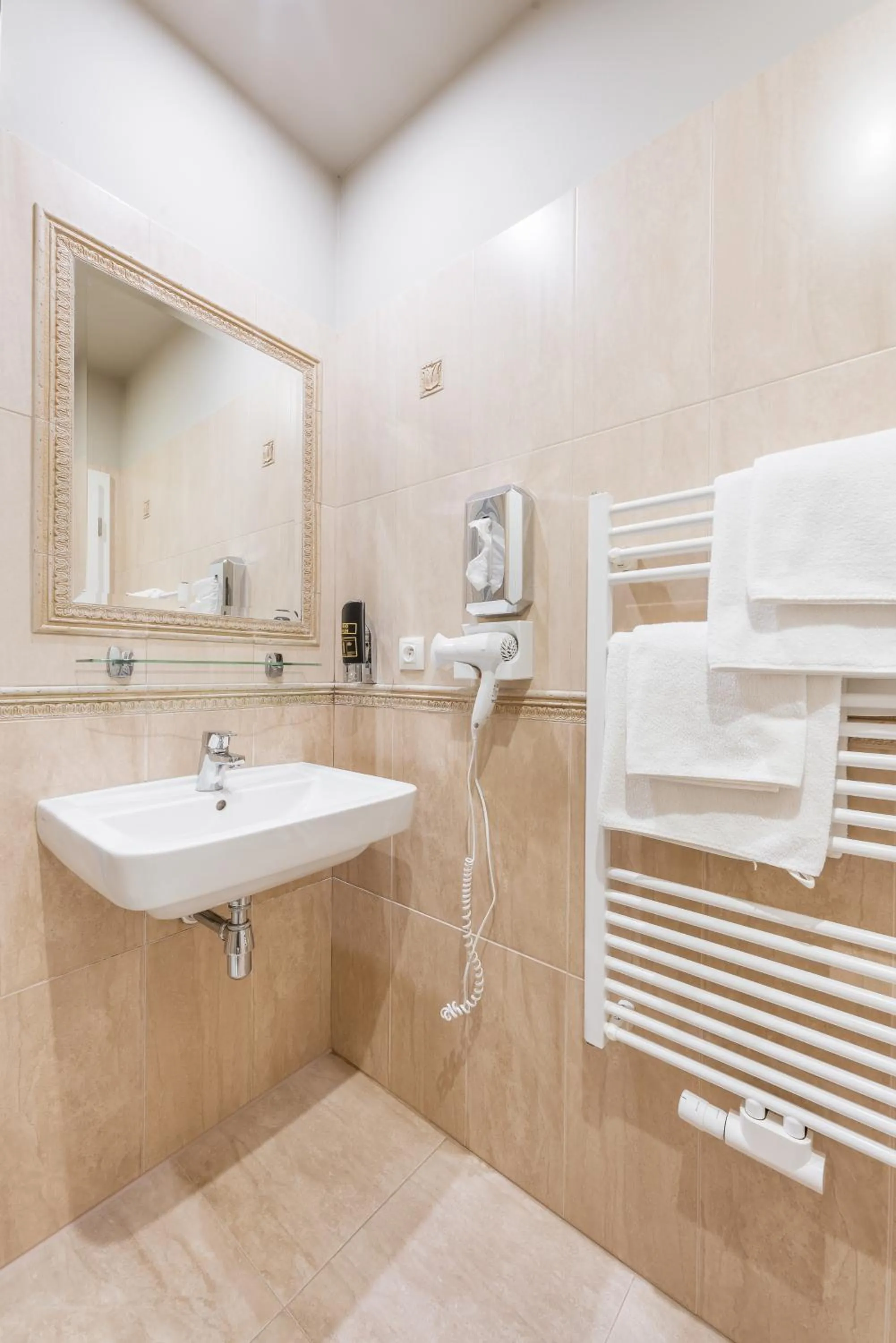 Shower in Hotel Plumlov