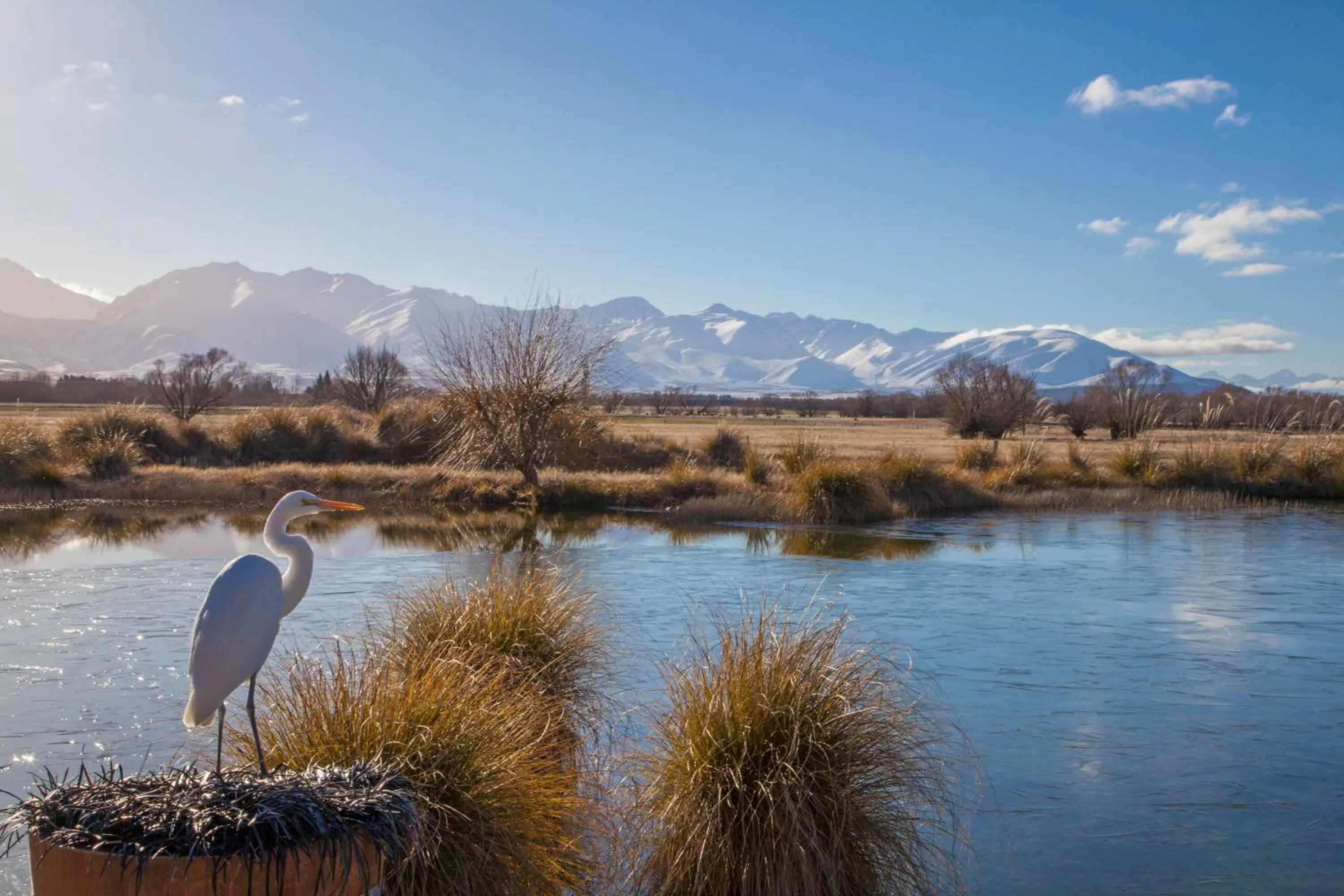 Animals in Matuka Lodge