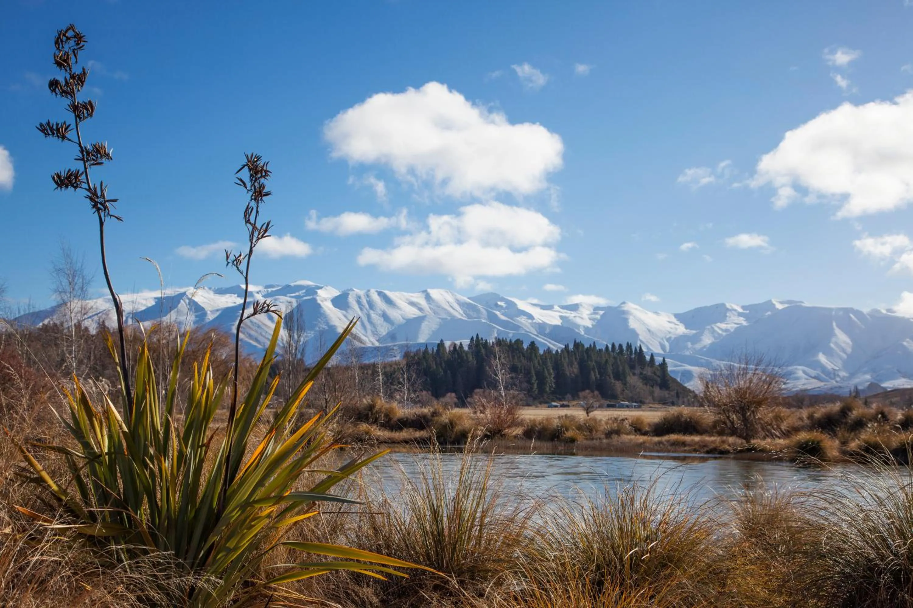 On site in Matuka Lodge