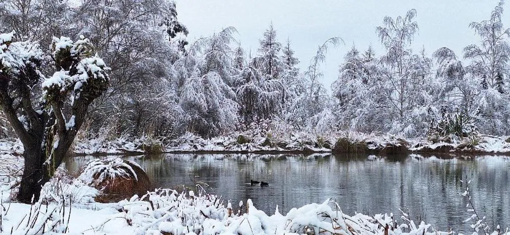 Natural landscape in Matuka Lodge