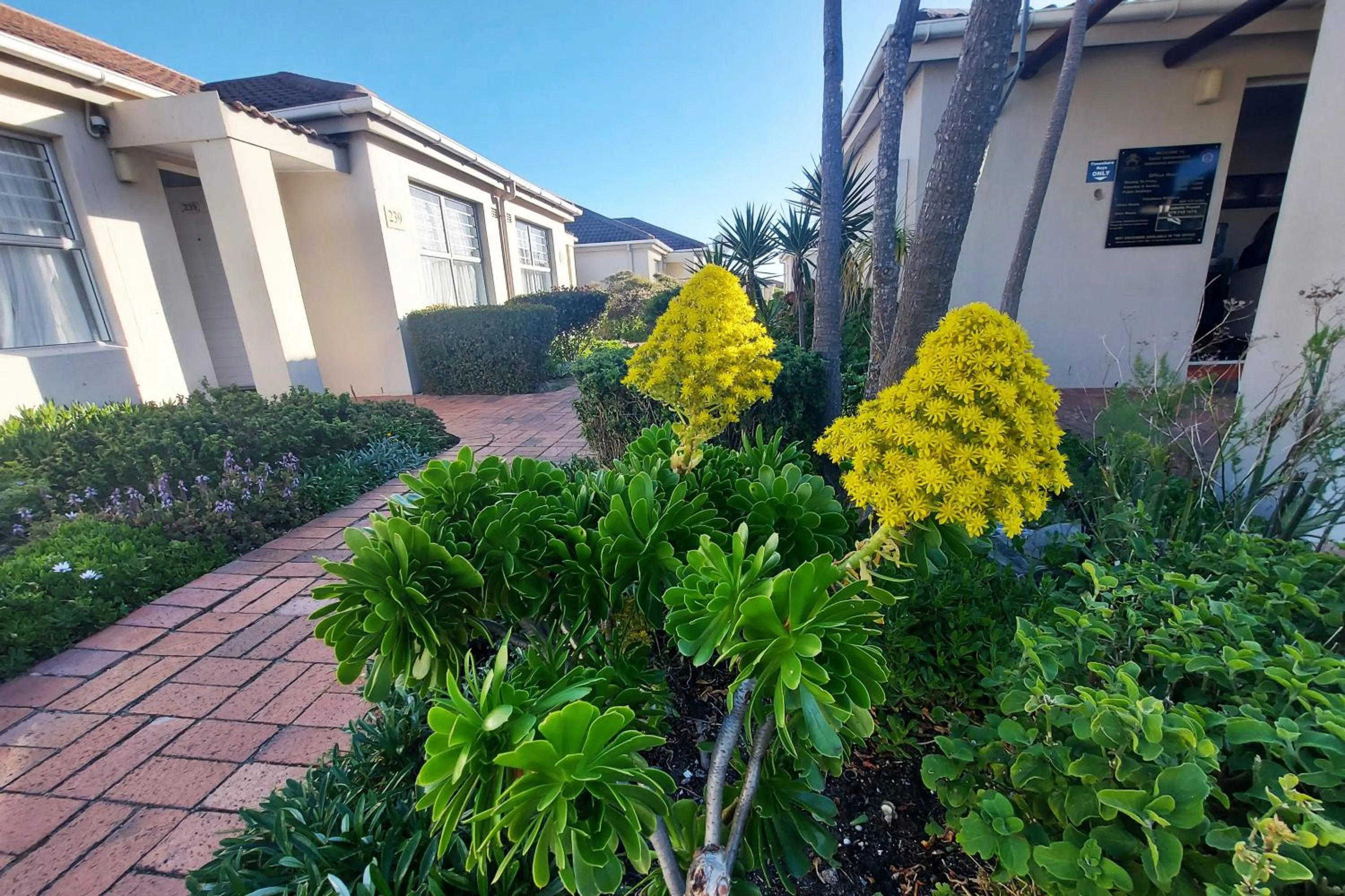 Property building in First Group Hermanus Beach Club