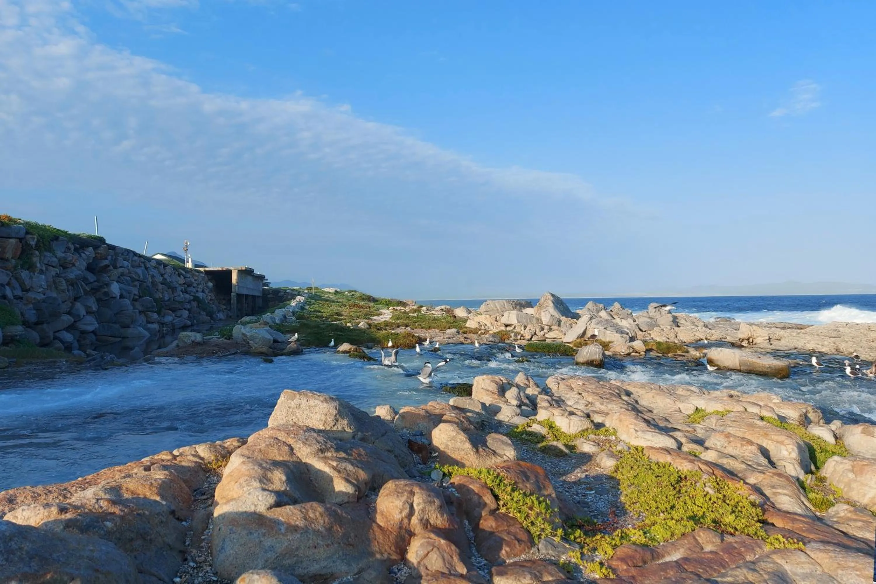 Natural landscape in First Group Hermanus Beach Club