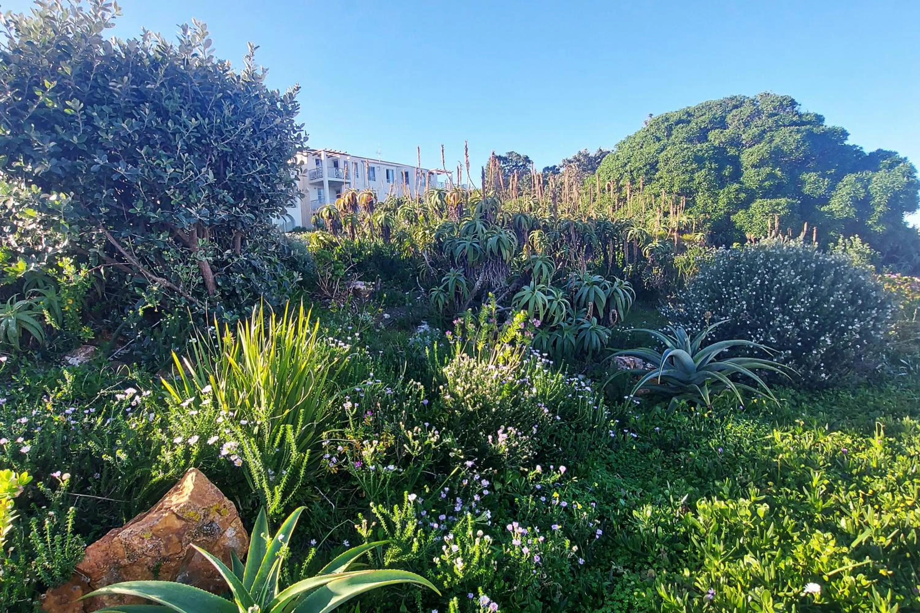 Natural landscape in First Group Hermanus Beach Club