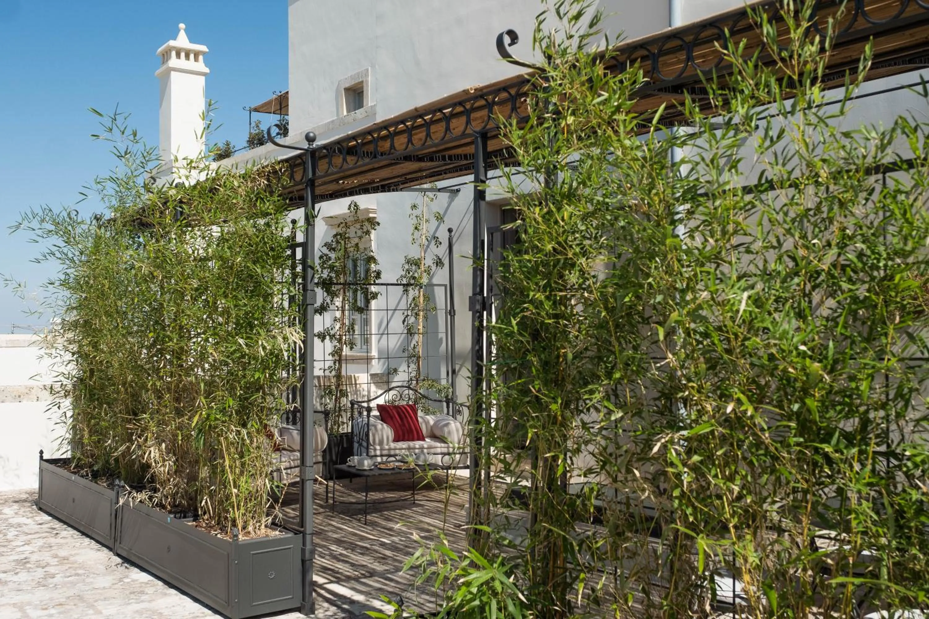 Garden in Nohasi Palace Lifestyle Hotel & SPA