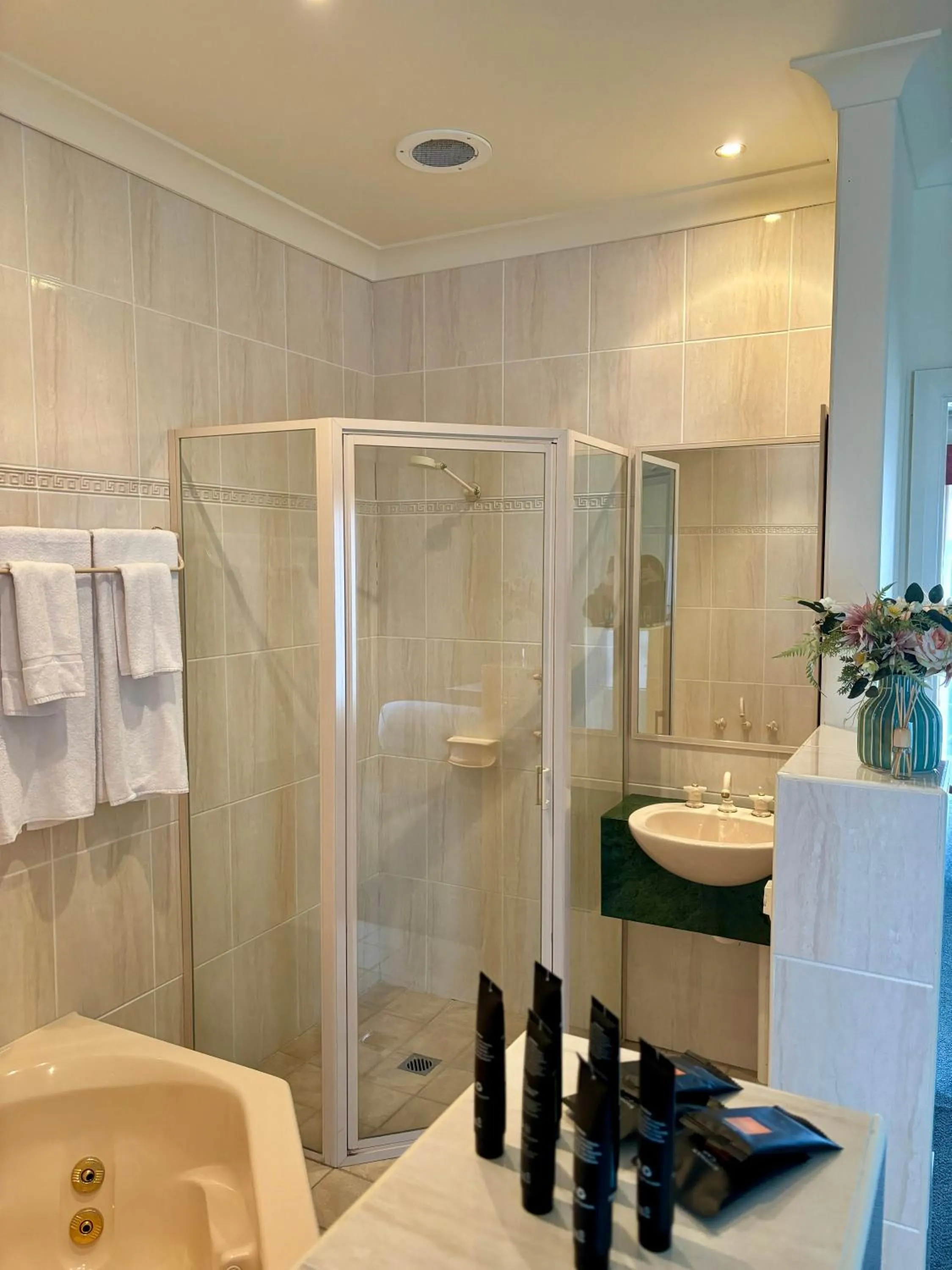 Shower in Turners Vineyard Motel