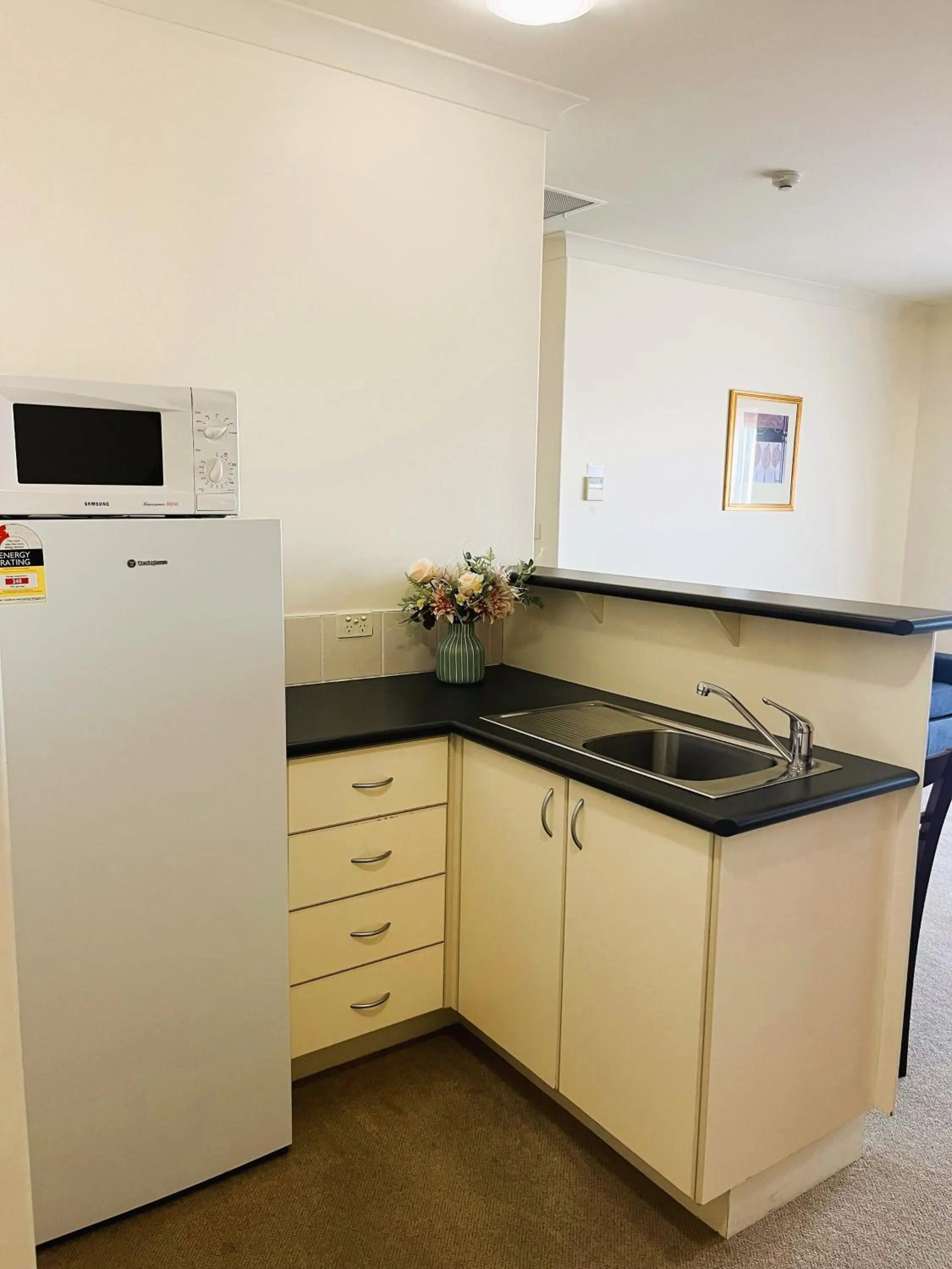 Kitchen or kitchenette in Turners Vineyard Motel