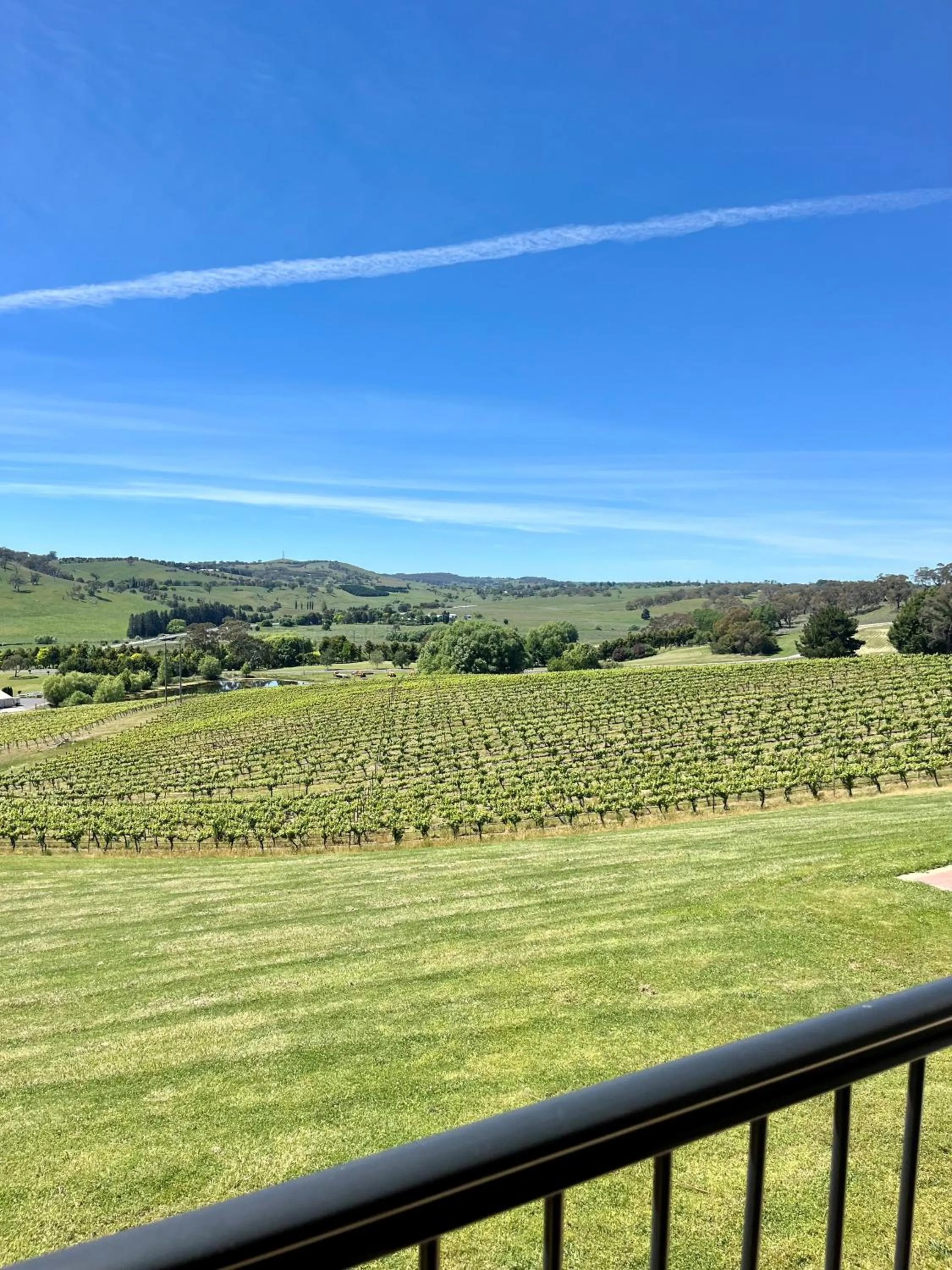 View (from property/room) in Turners Vineyard Motel