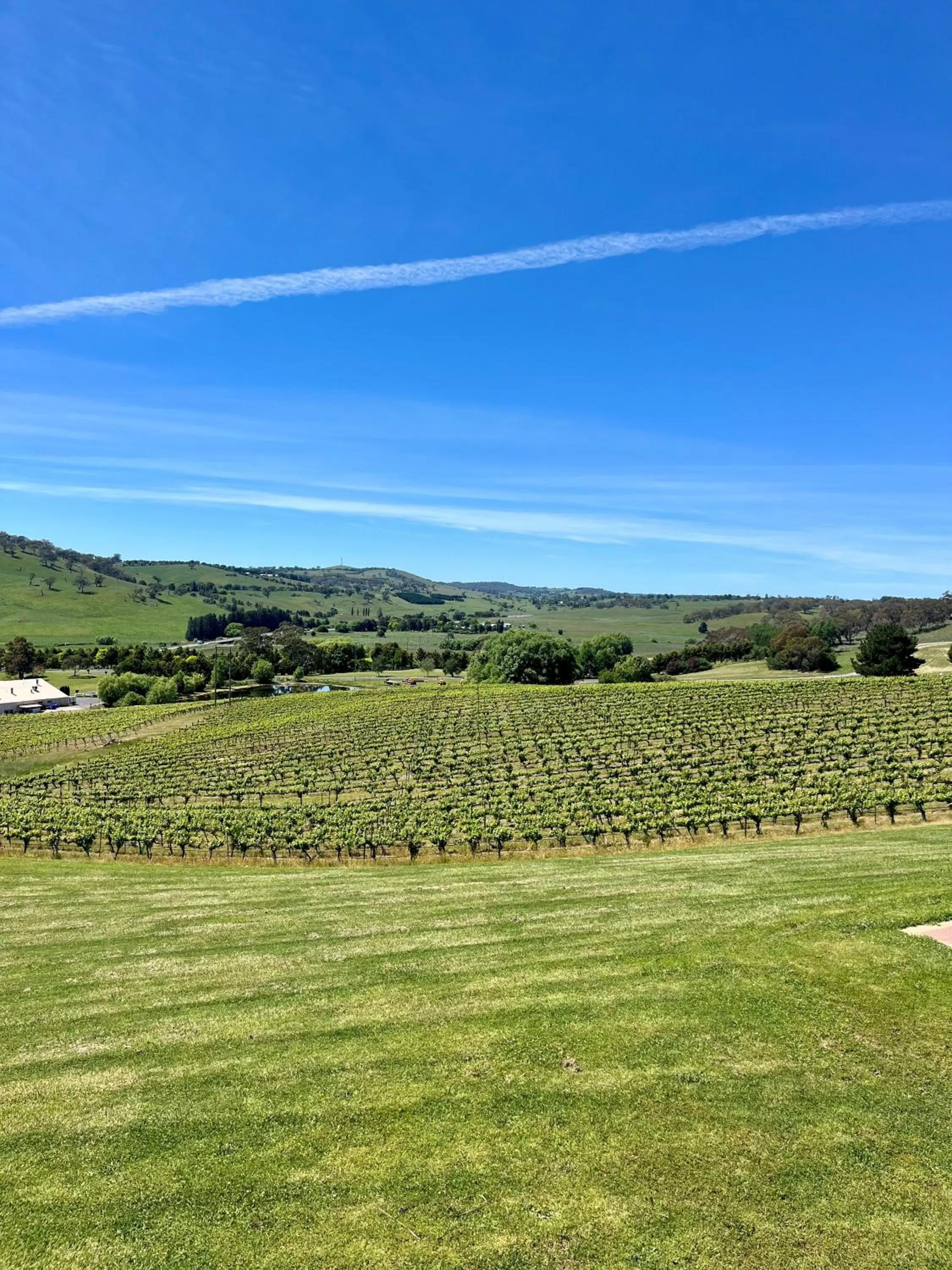 View (from property/room) in Turners Vineyard Motel