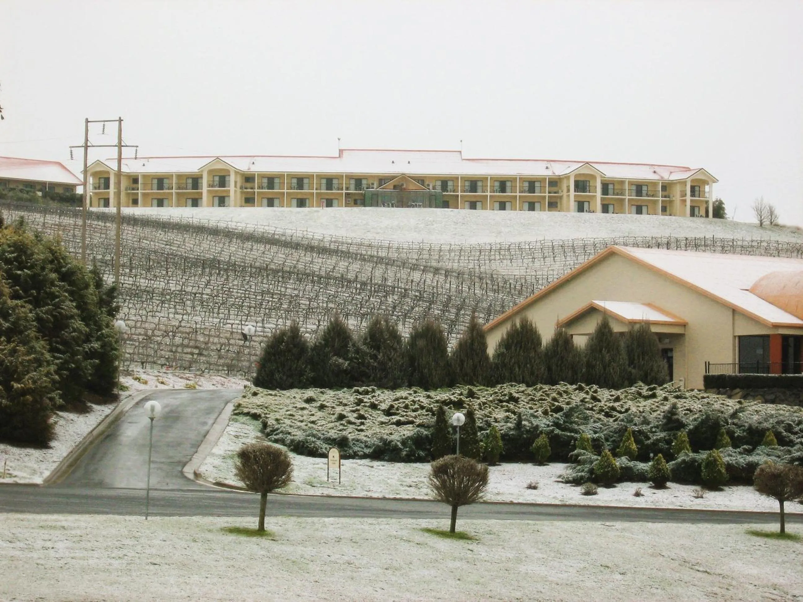 Natural landscape in Turners Vineyard Motel