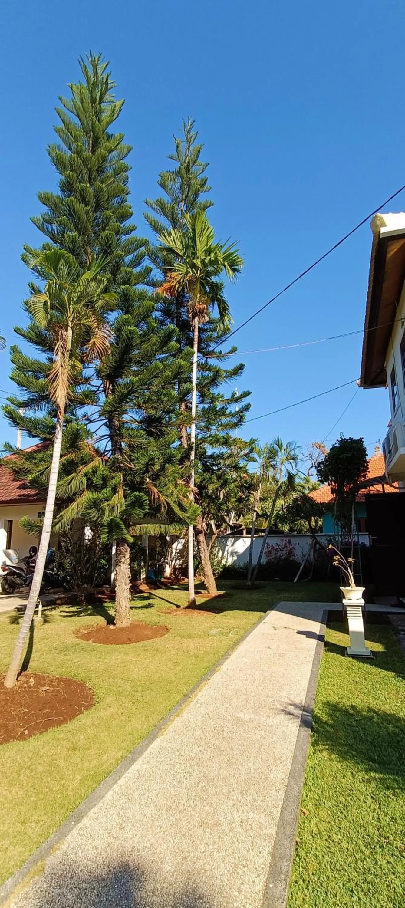 Garden in Villa Lilly Sea View Private Pool