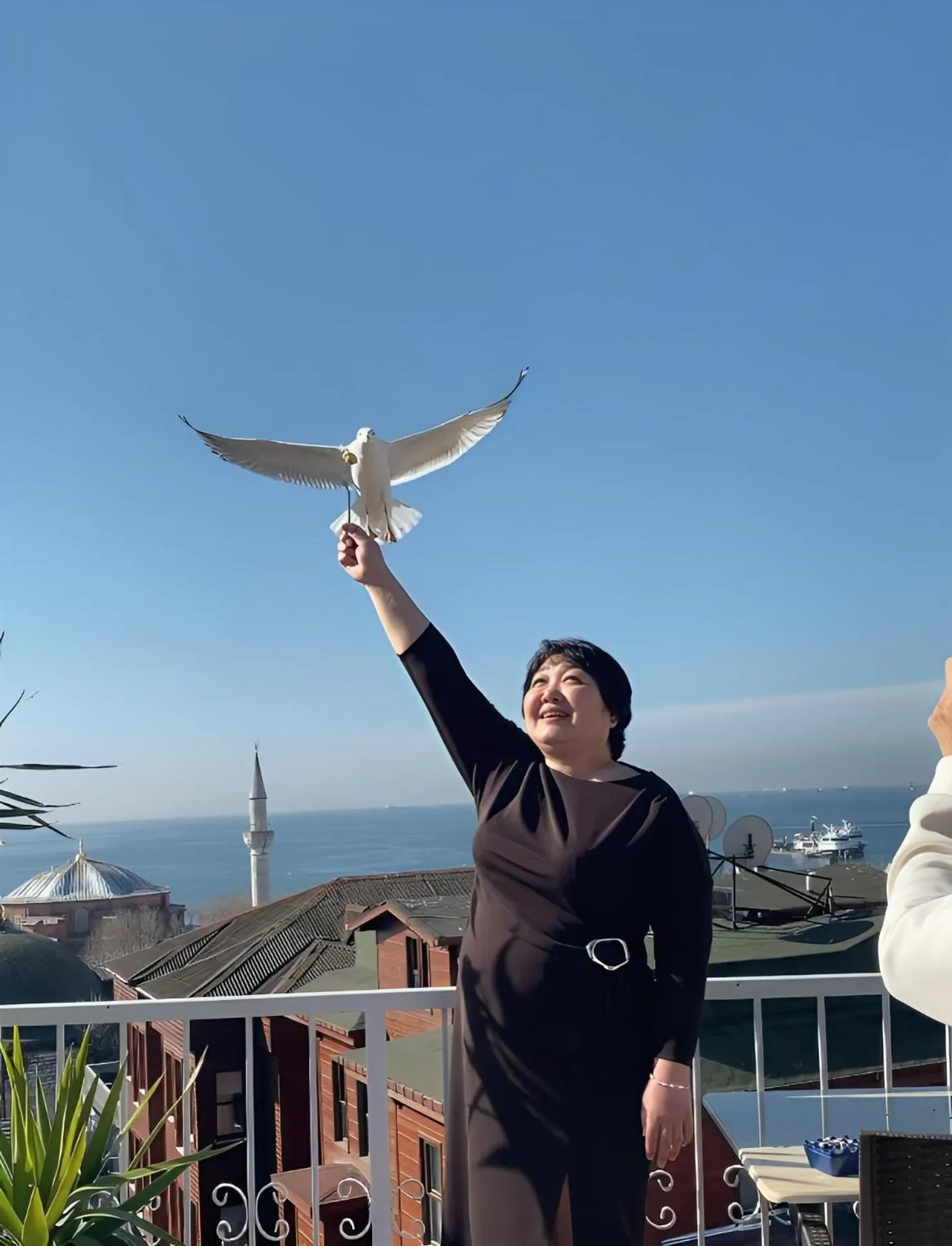 Balcony/Terrace in Ayasofya Hotel - Special Class