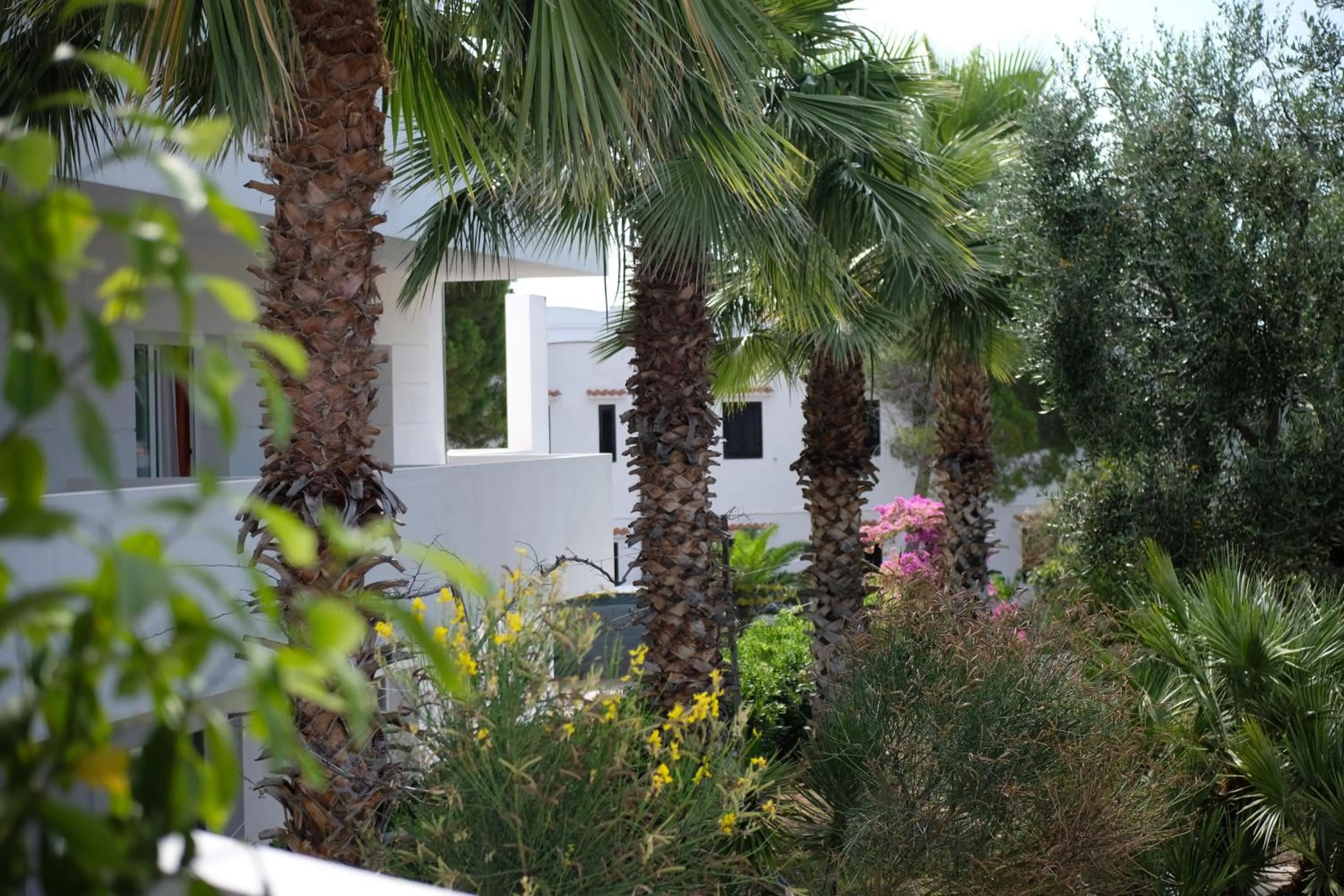 Property building in Hotel Scialì