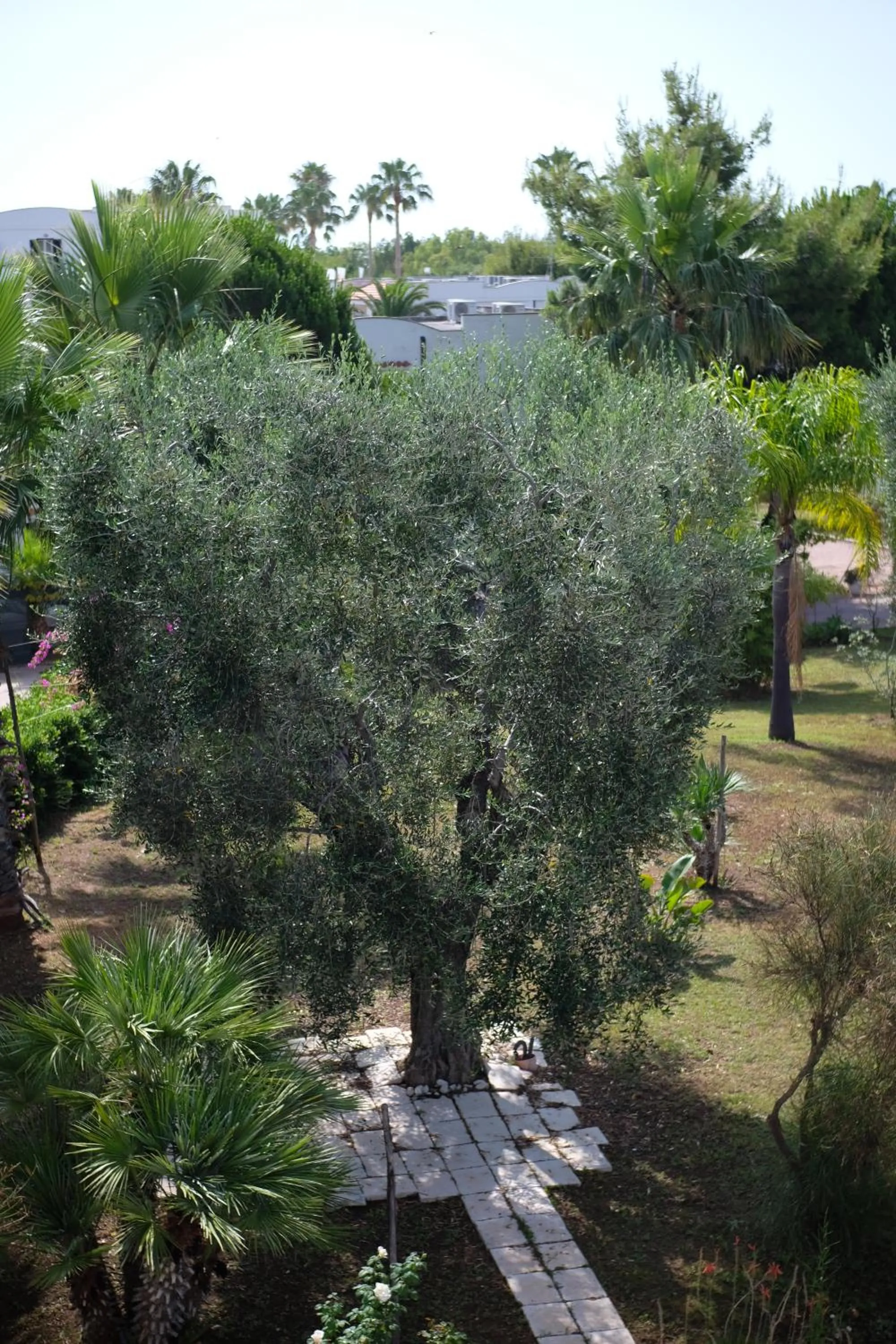 Property building in Hotel Scialì