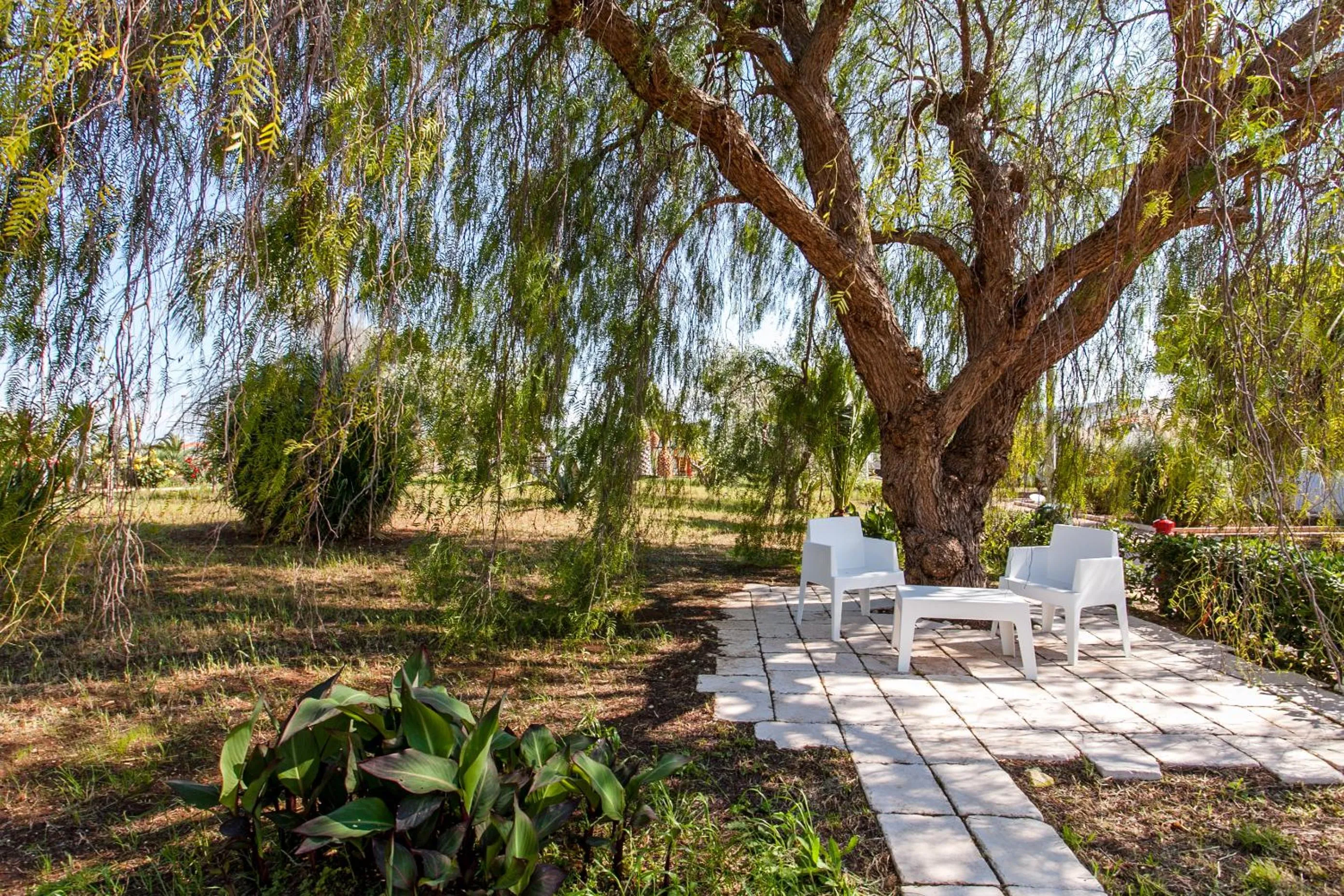 Garden in Hotel Scialì