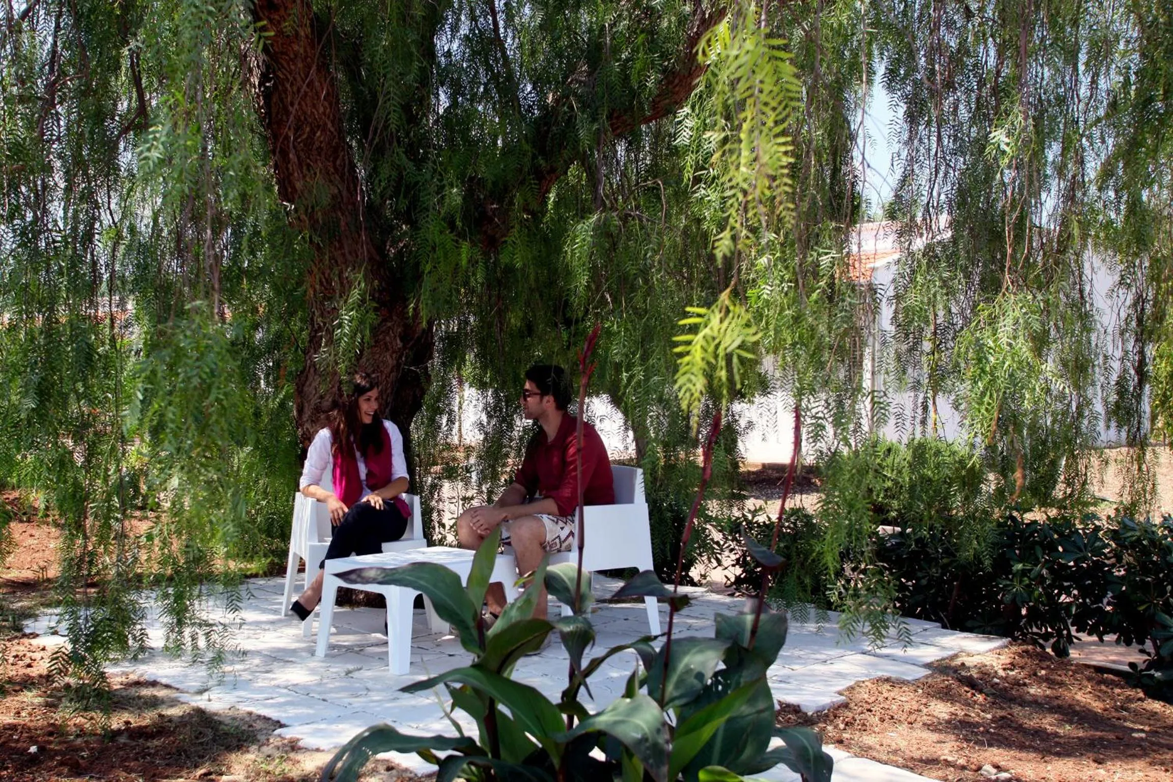 Garden in Hotel Scialì