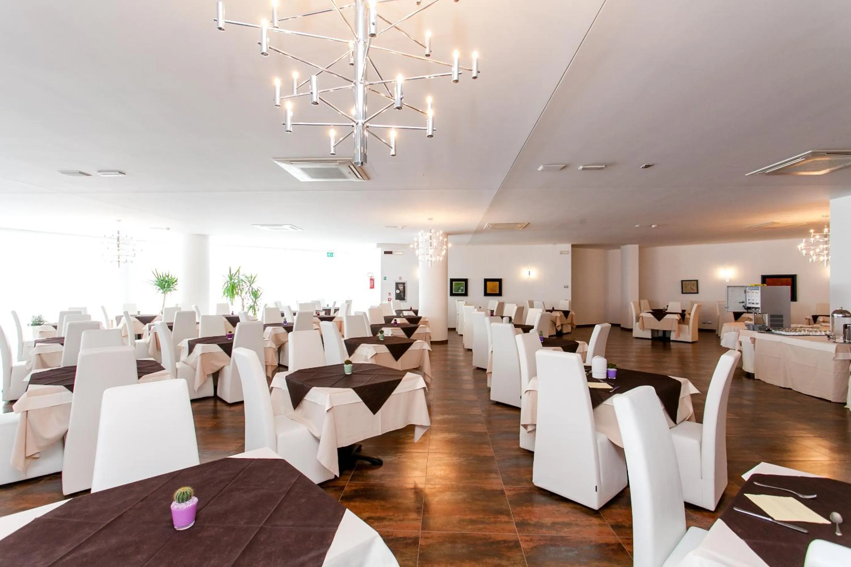 Restaurant/places to eat in Hotel Scialì