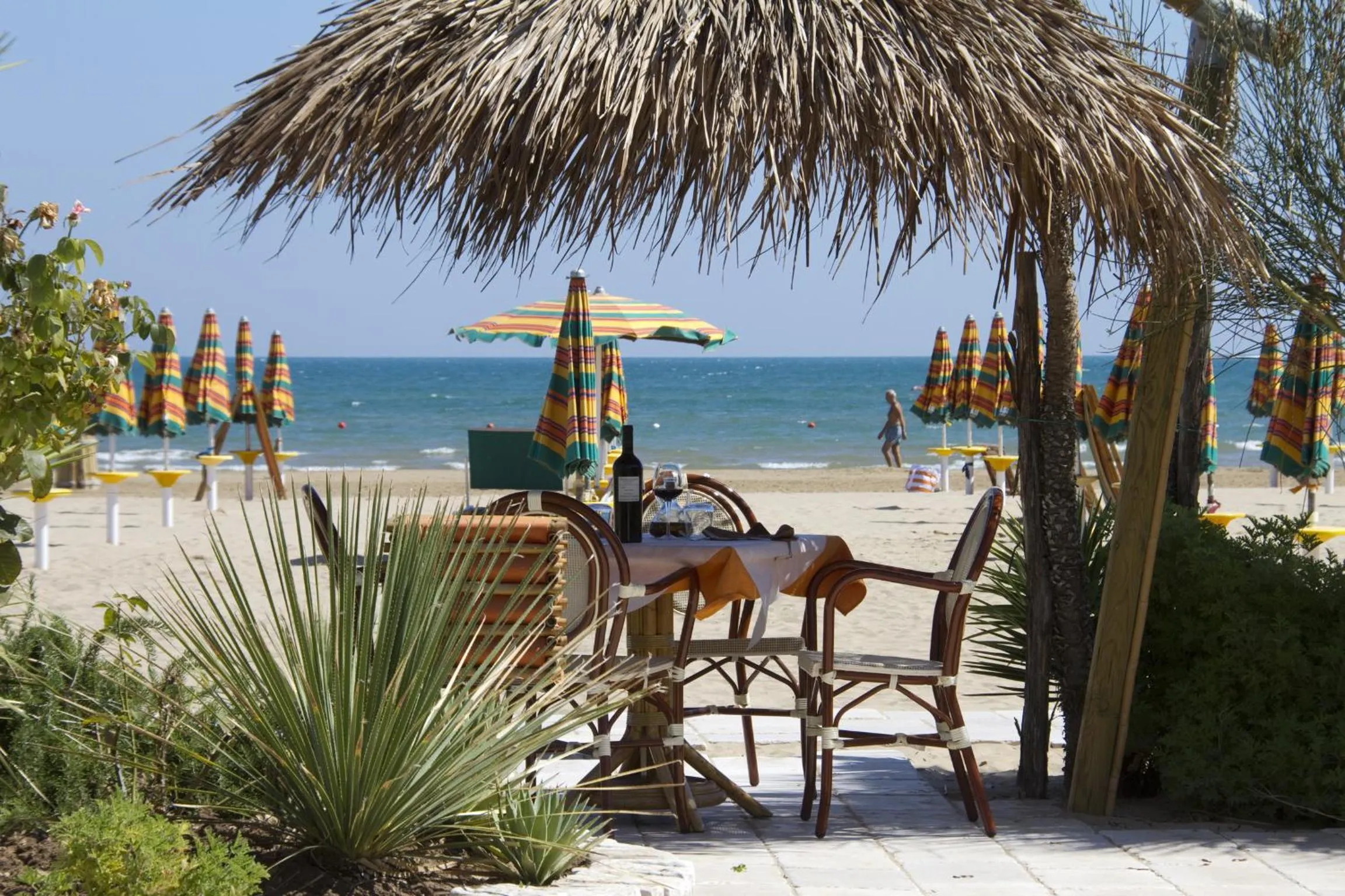 Restaurant/places to eat in Hotel Scialì