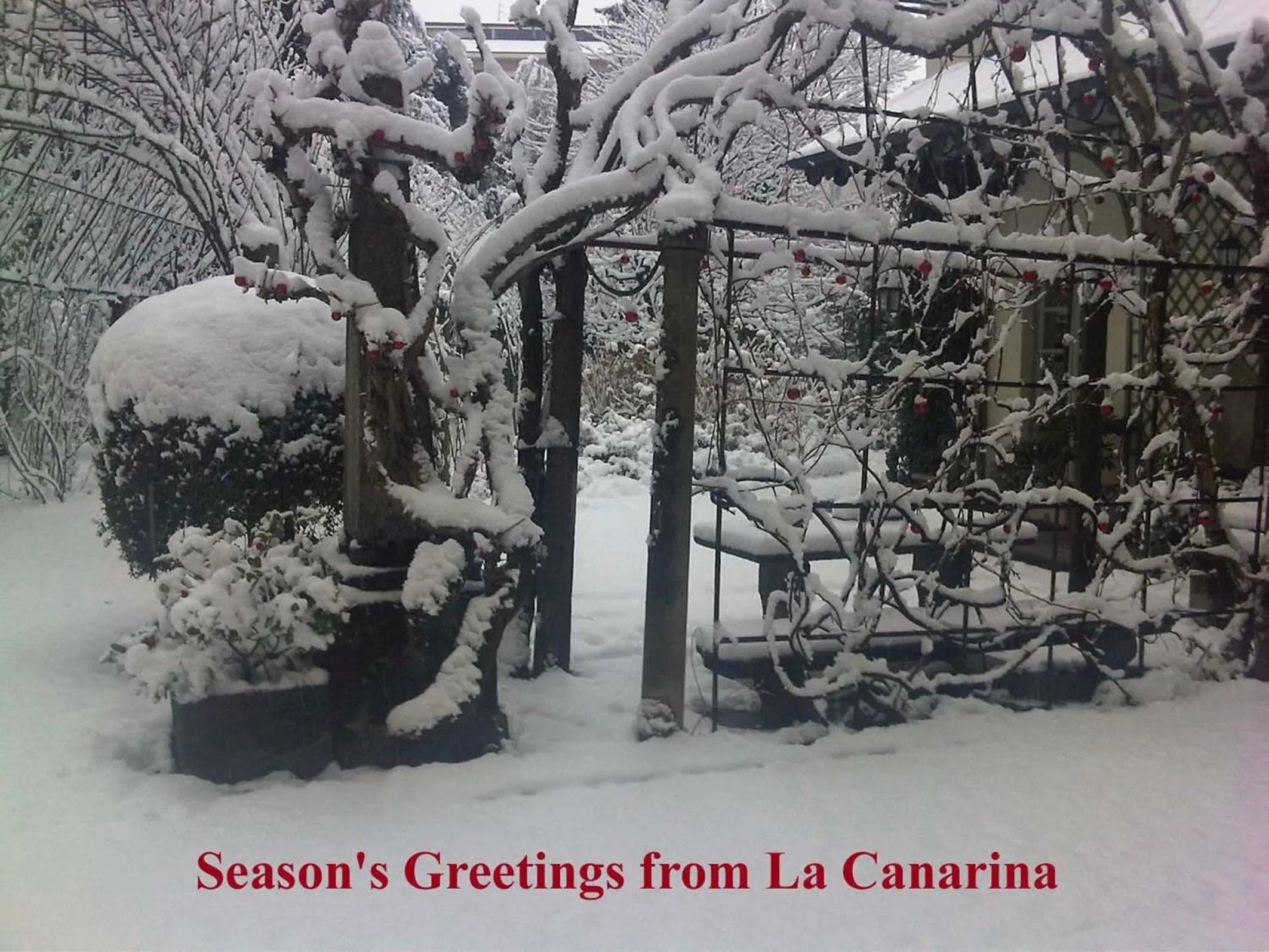 Winter in La Canarina Bed & Breakfast