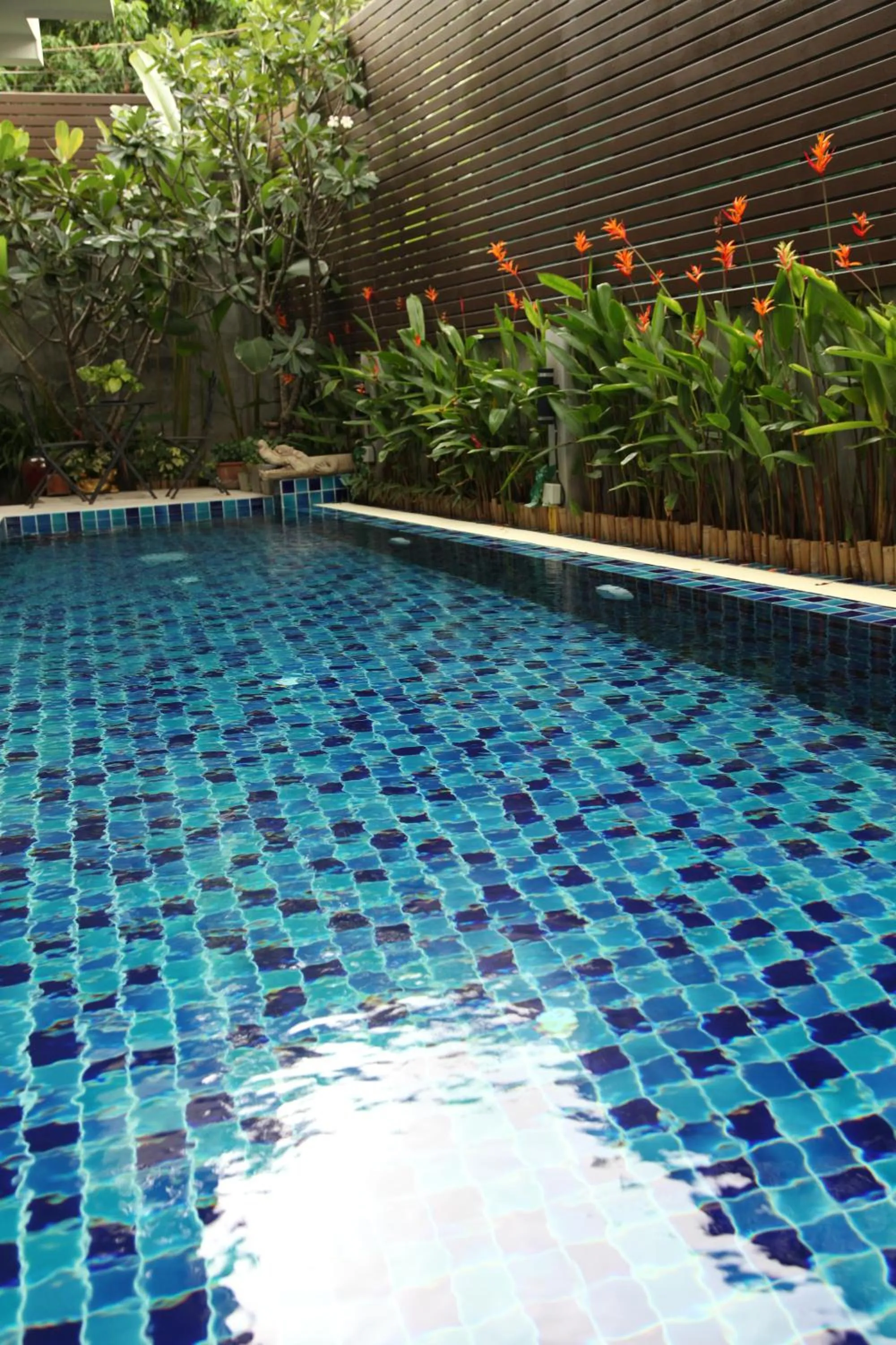 Swimming pool in Baan Ratchiangsaen