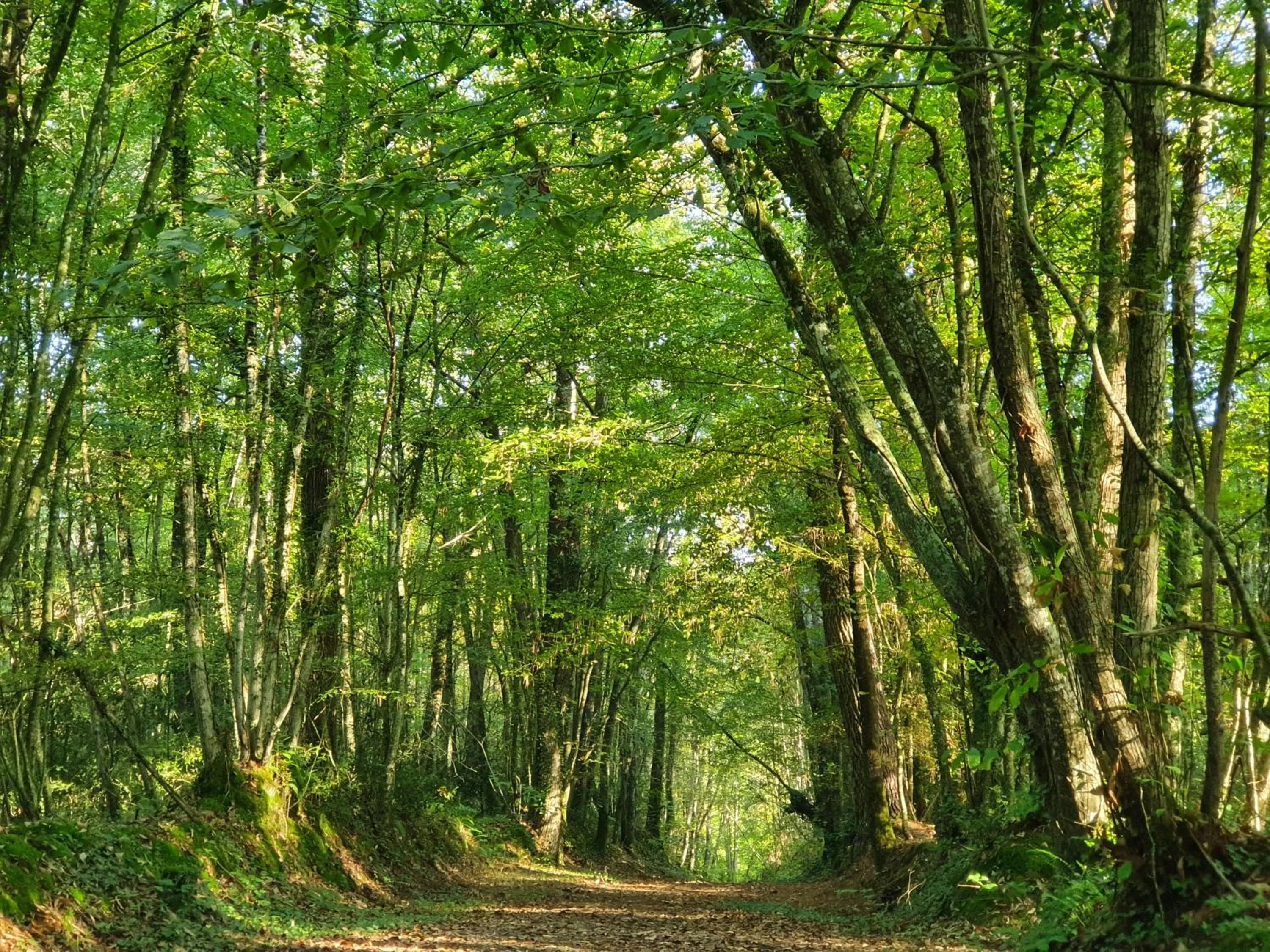 Natural landscape in Chambres d'hôtes de La Vallée