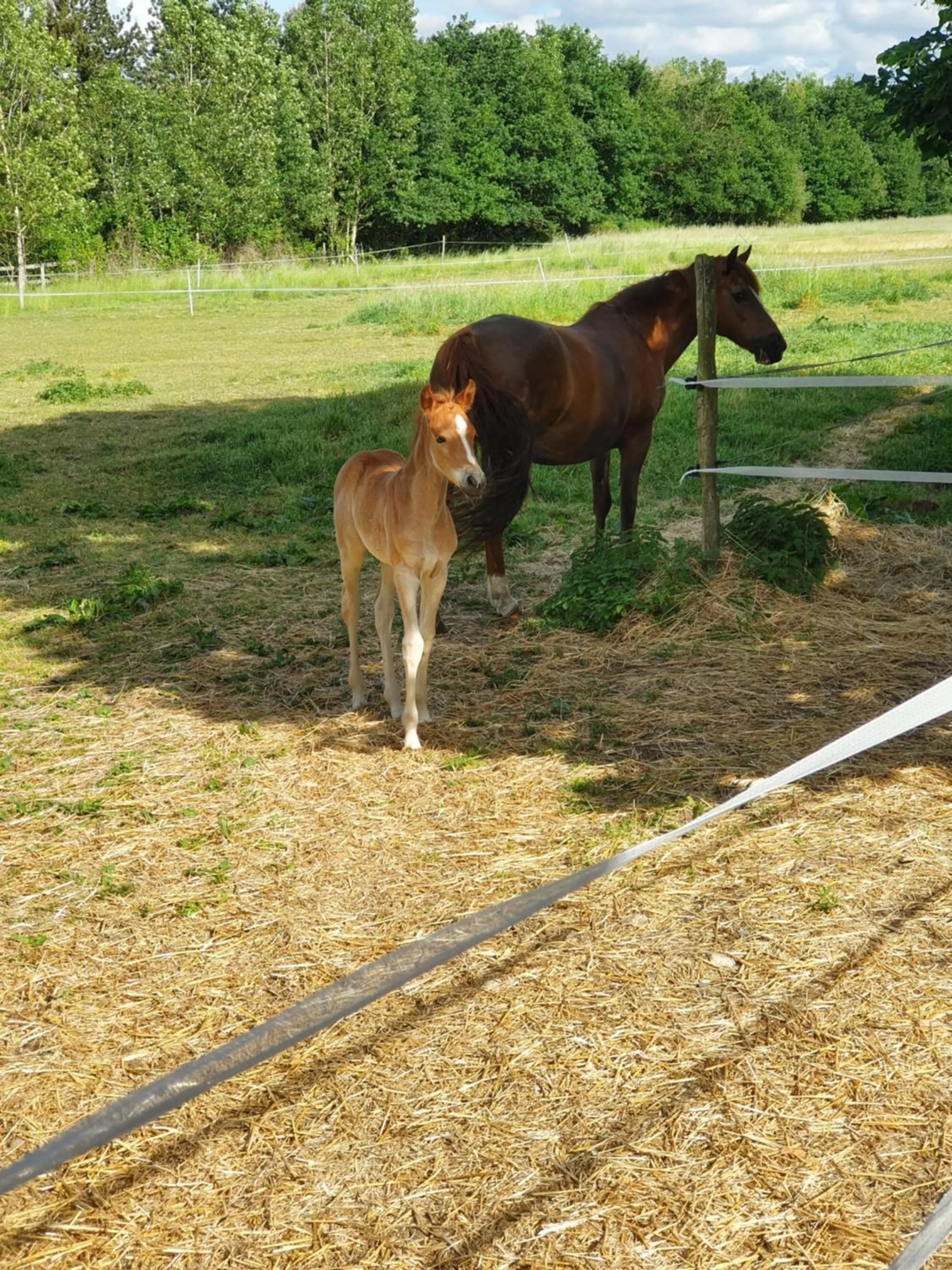 Natural landscape in Chambres d'hôtes de La Vallée