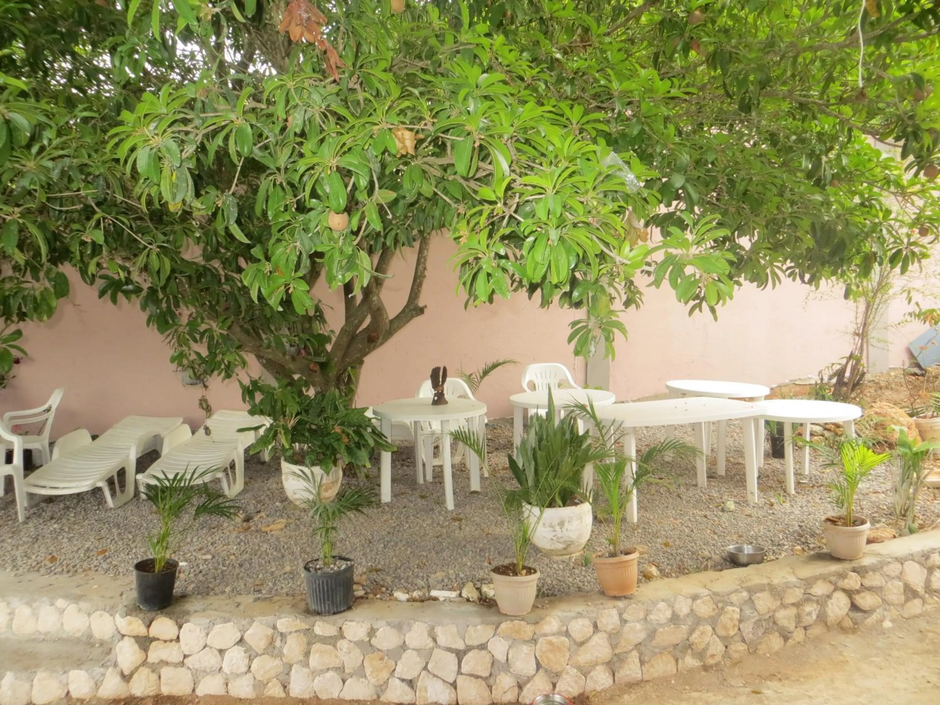 Natural landscape in Vision with Dreams VIlla