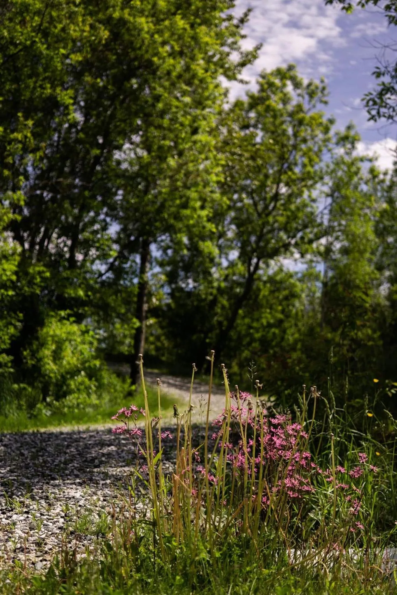 Condo Hotel Au pied du Mont Orford