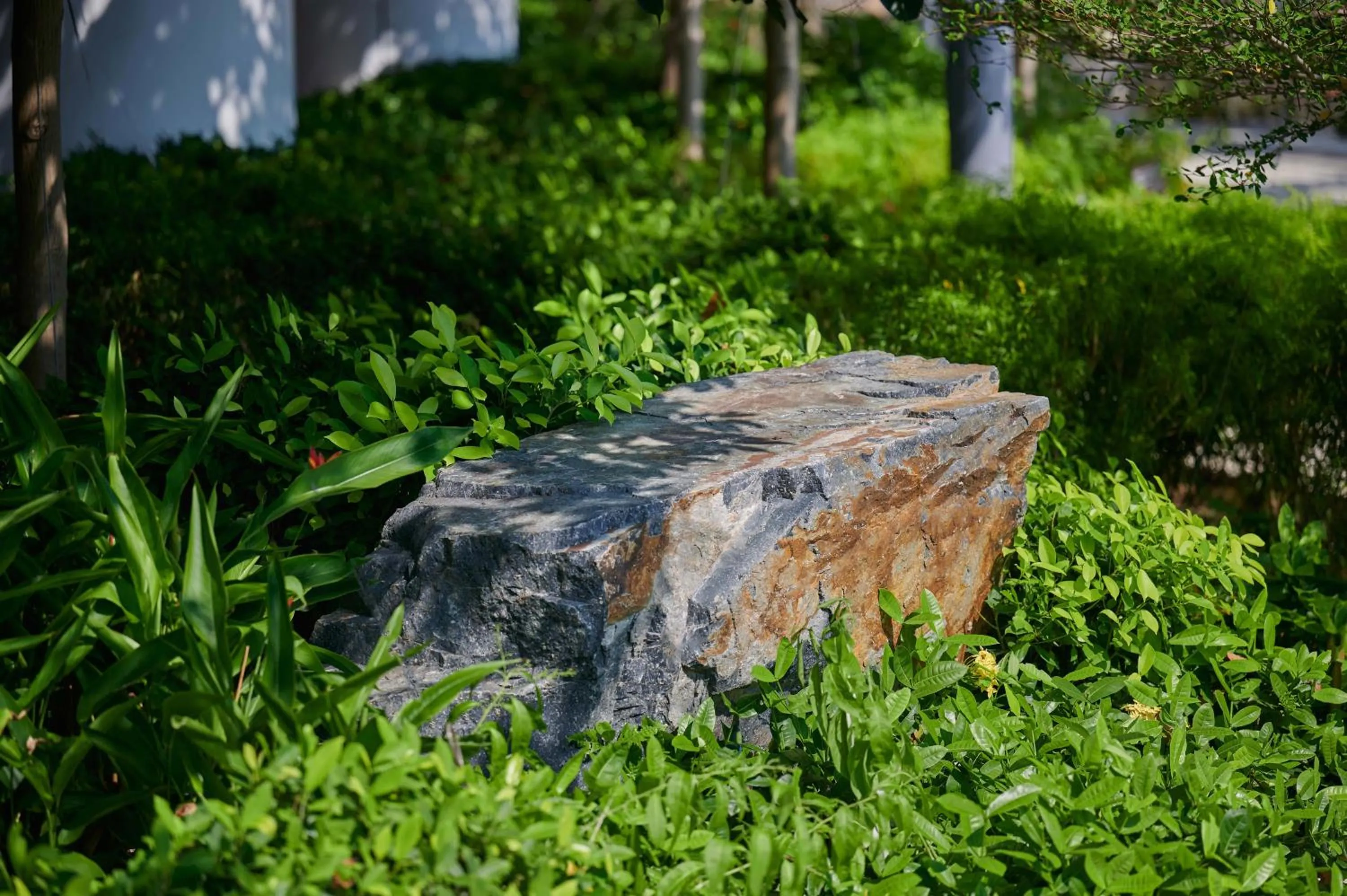 Garden in The Fullerton Ocean Park Hotel Hong Kong