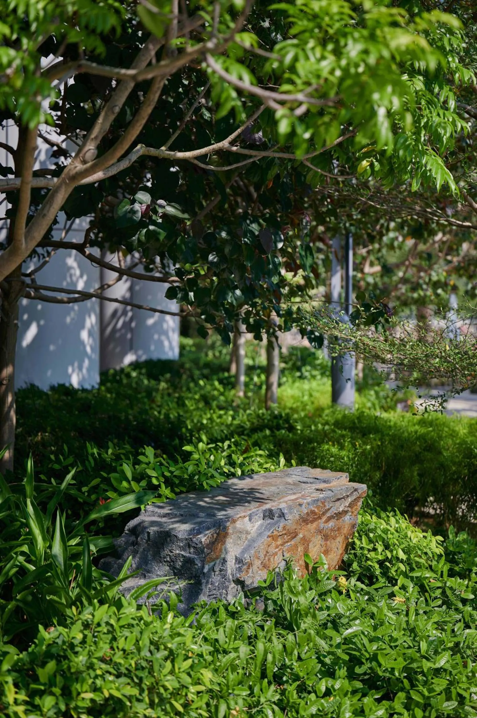 Garden in The Fullerton Ocean Park Hotel Hong Kong