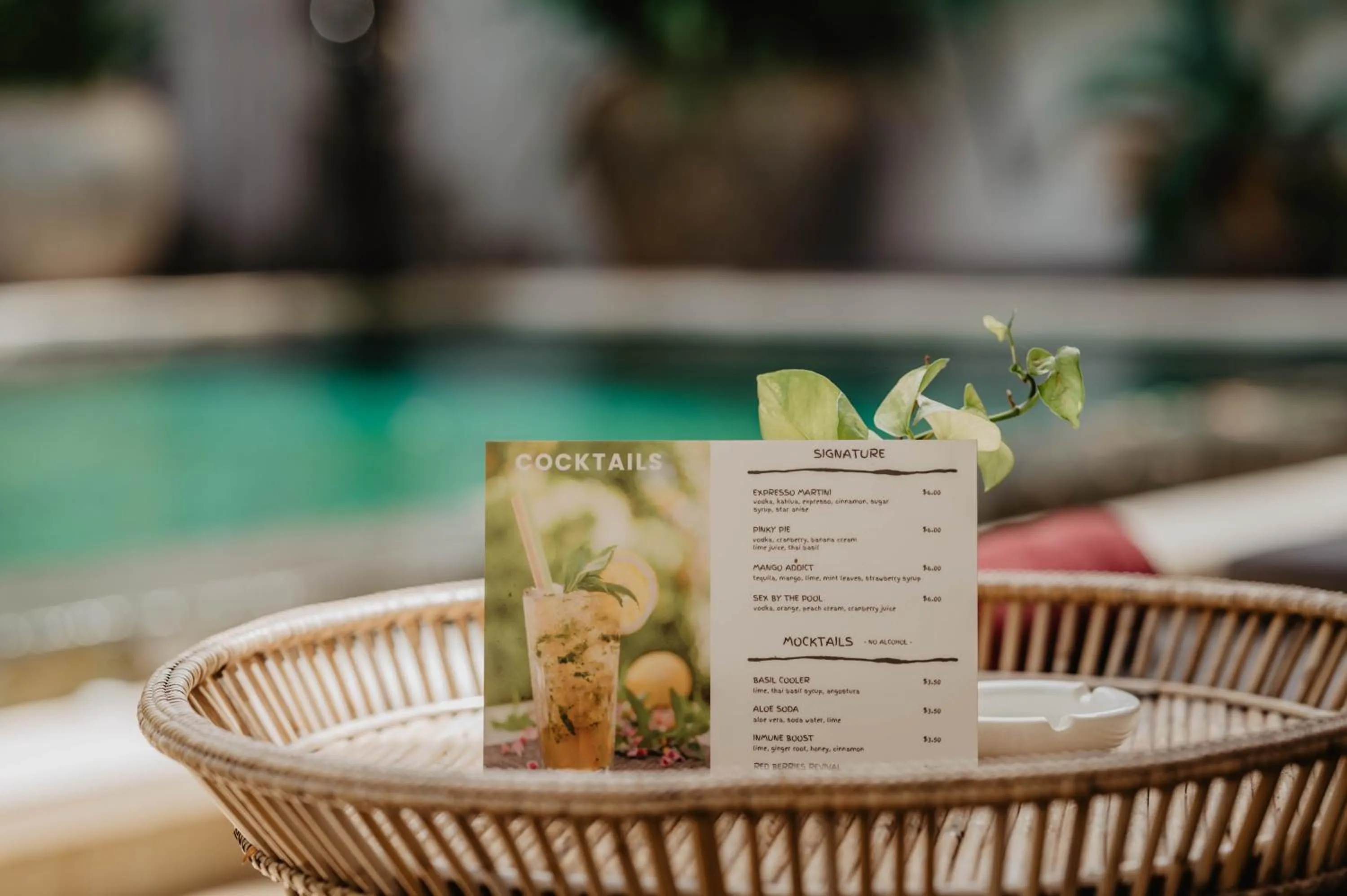 Swimming pool in La Bastide de Caro
