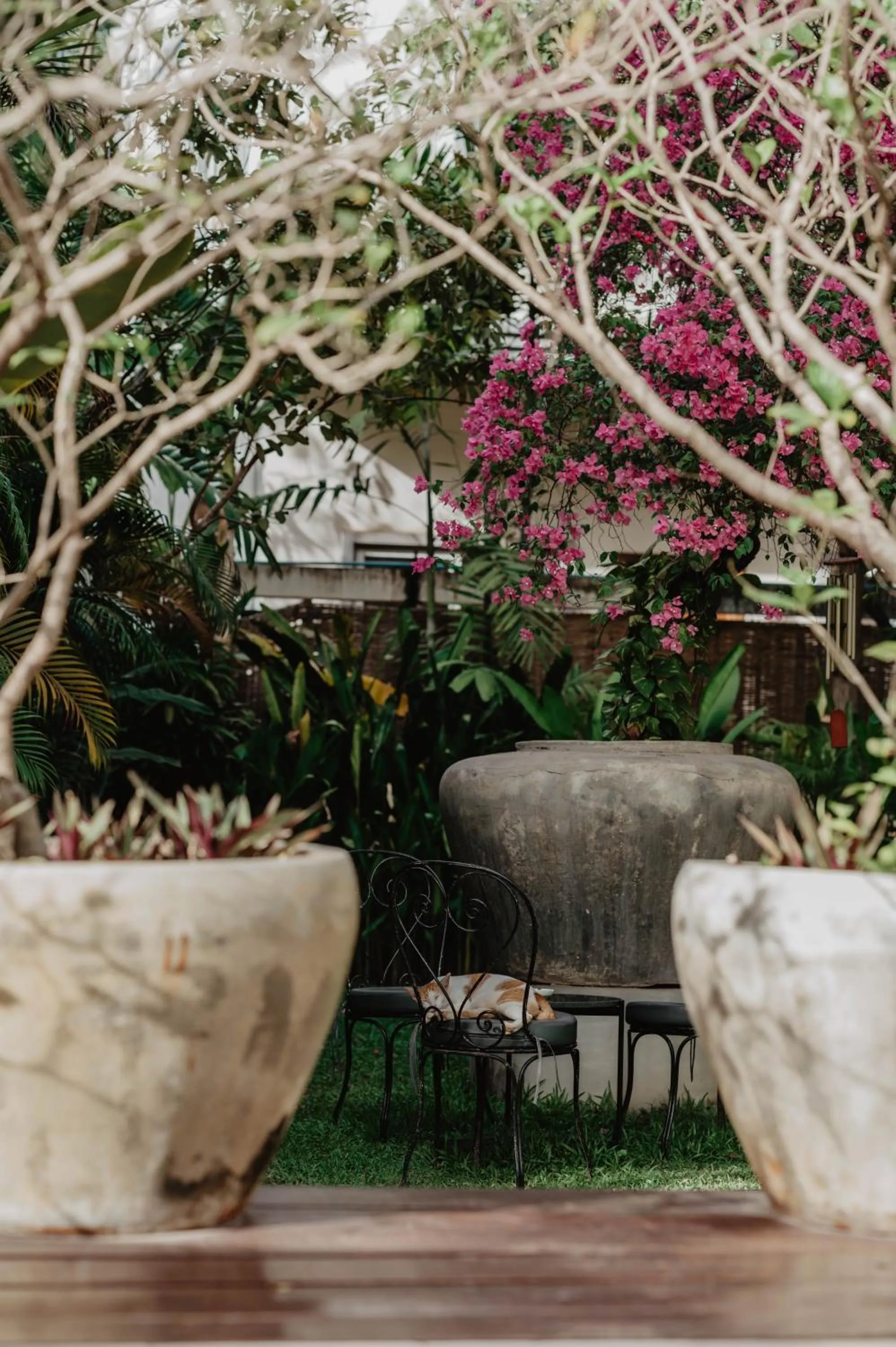 Garden in La Bastide de Caro