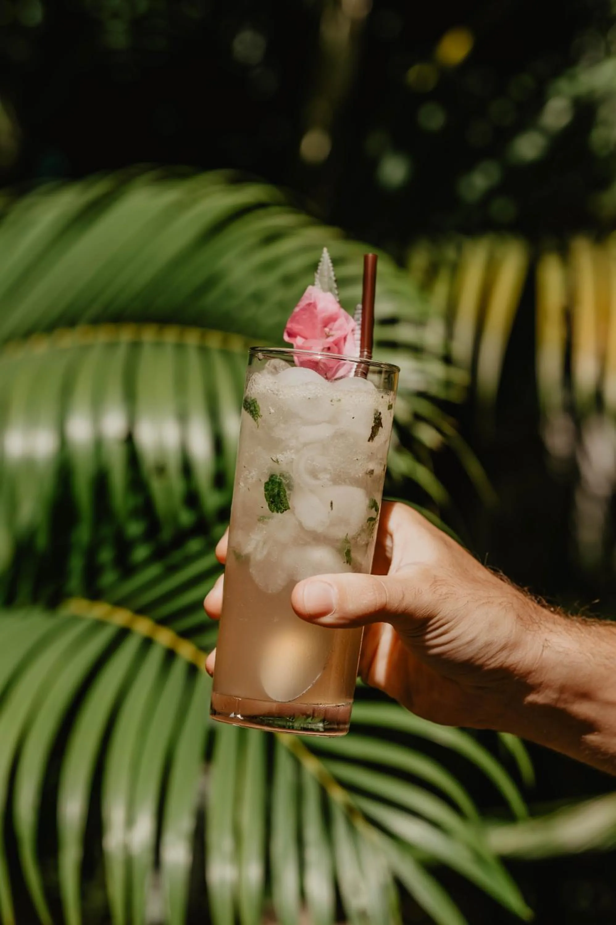 Lounge or bar in La Bastide de Caro
