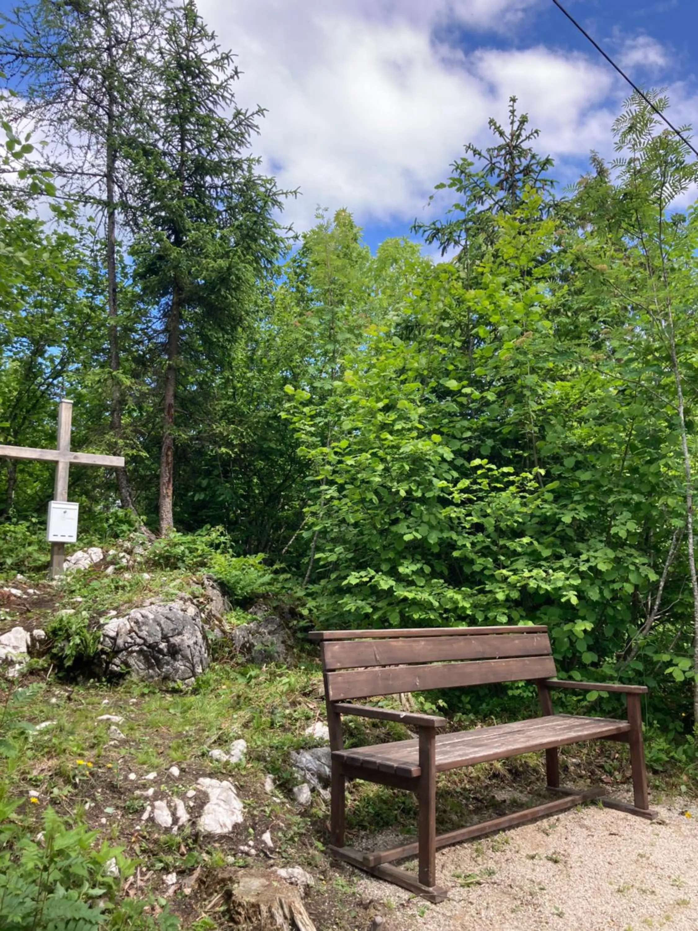 Garden in Das Schutzhaus-Bed and Breakfast-Dein Basislager im Salzkammergut