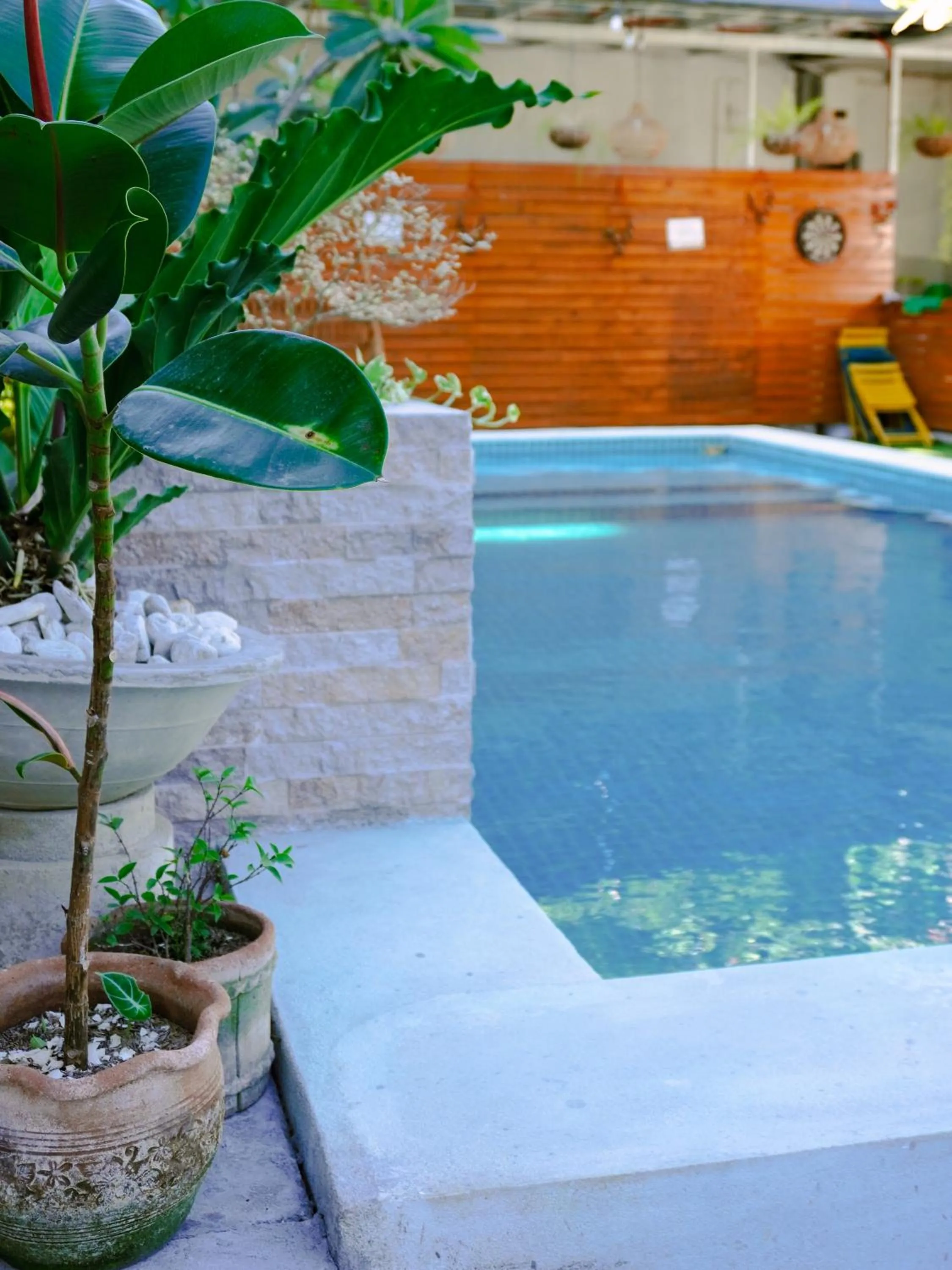 Swimming pool in Urban Oasis Resort, Tarlac