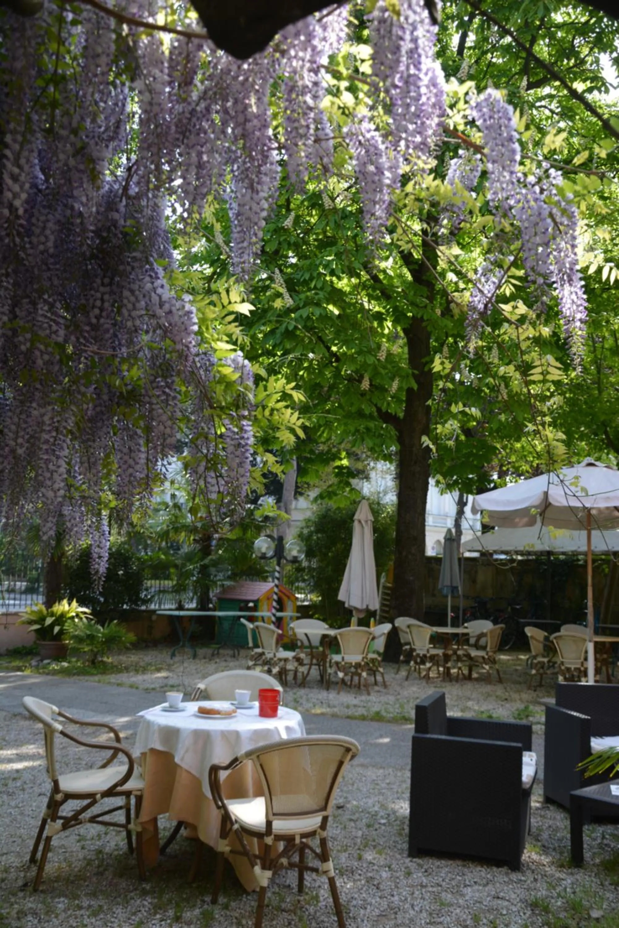 Garden in Hotel Roxy Floridiana