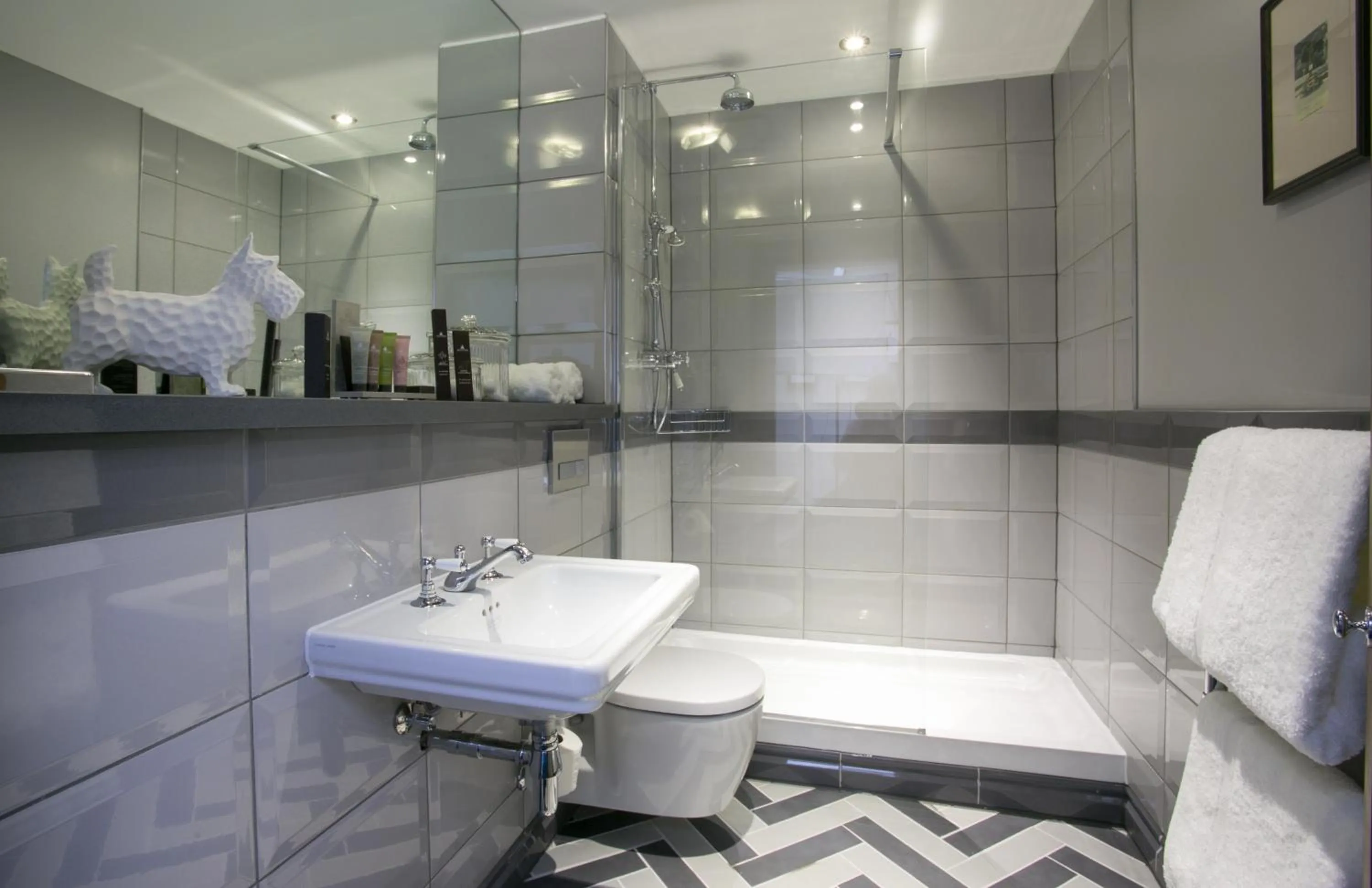 Bathroom in Dog and Fox