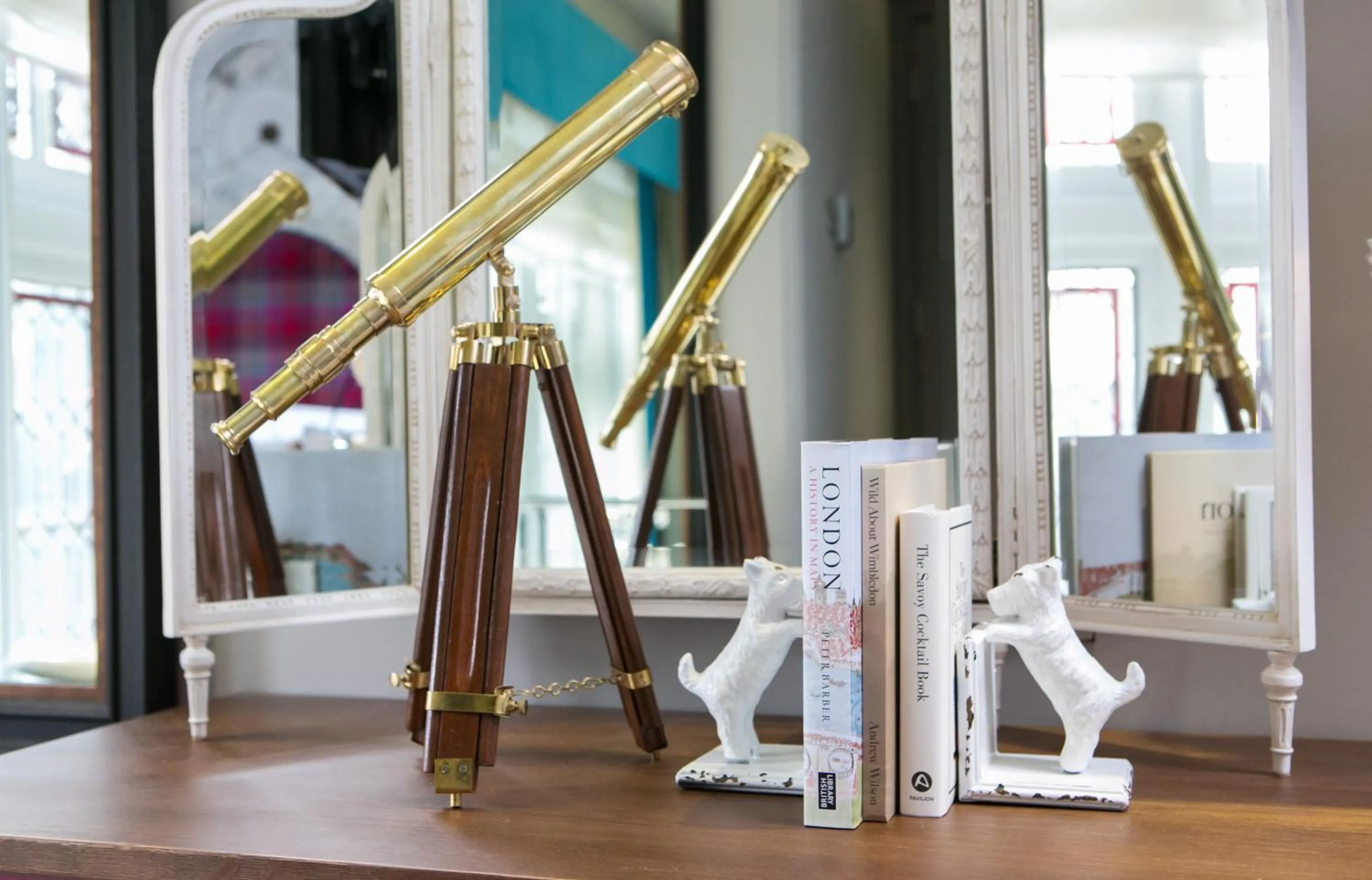 Bathroom in Dog and Fox