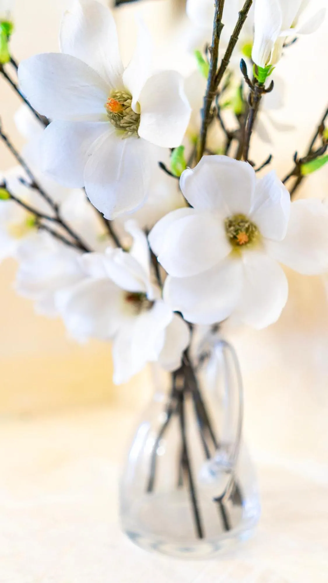 Decorative detail in ASTARTE HOTEL