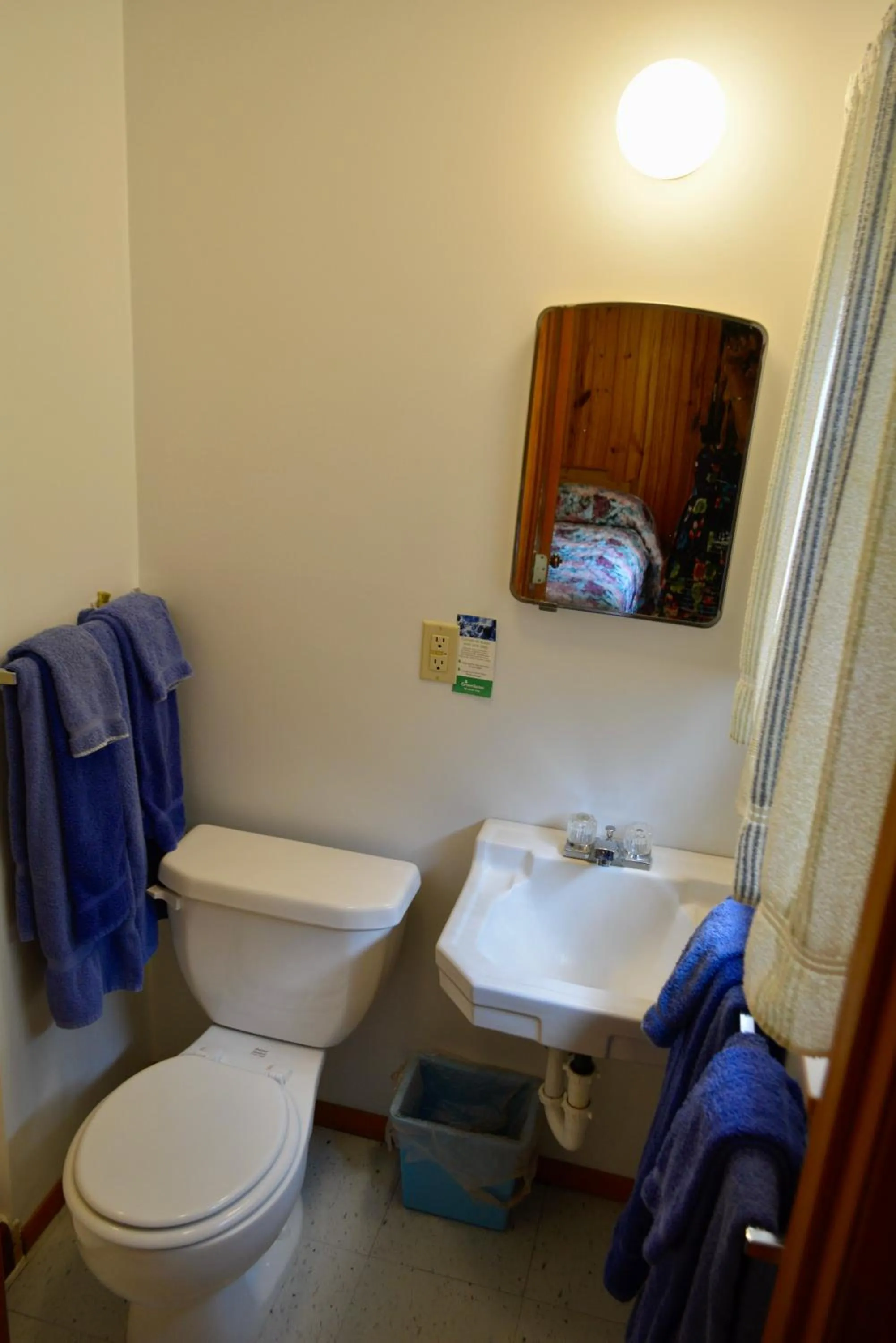 Toilet in Driftwood Resort Bull Shoals