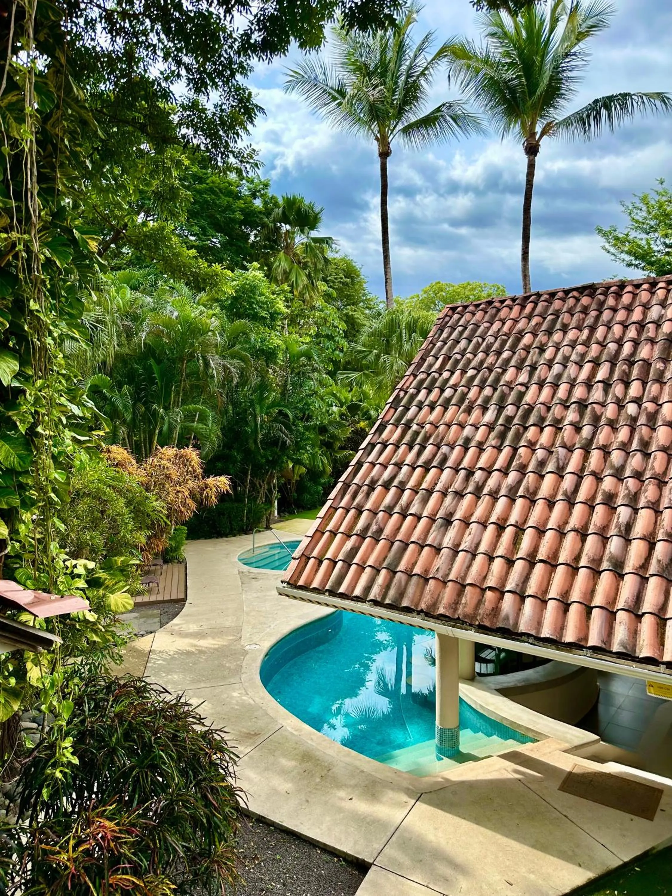 Pool view in Hotel El Manglar y Cantarana