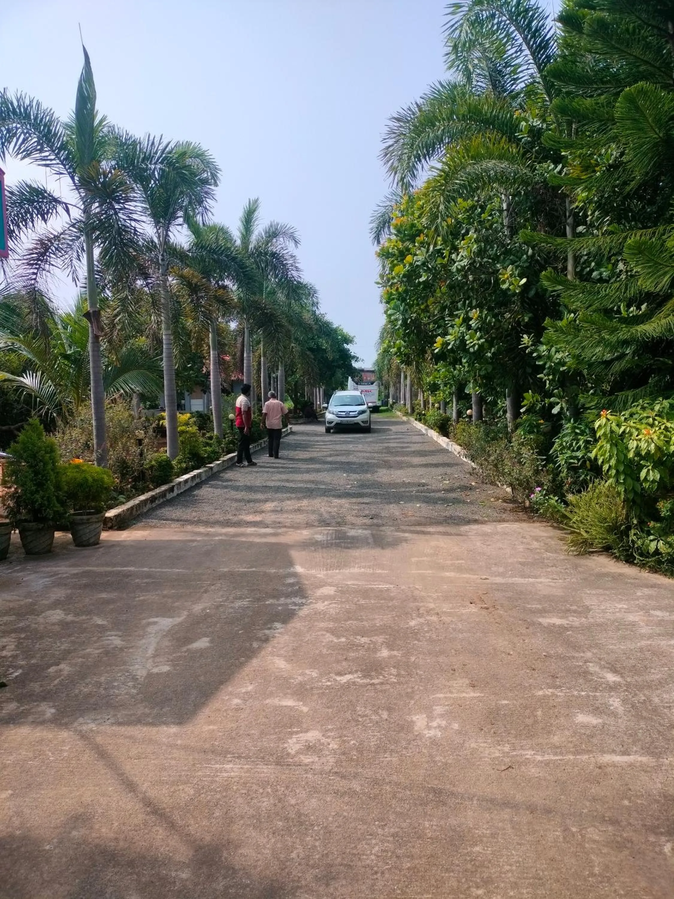 Paradise Forest Resort