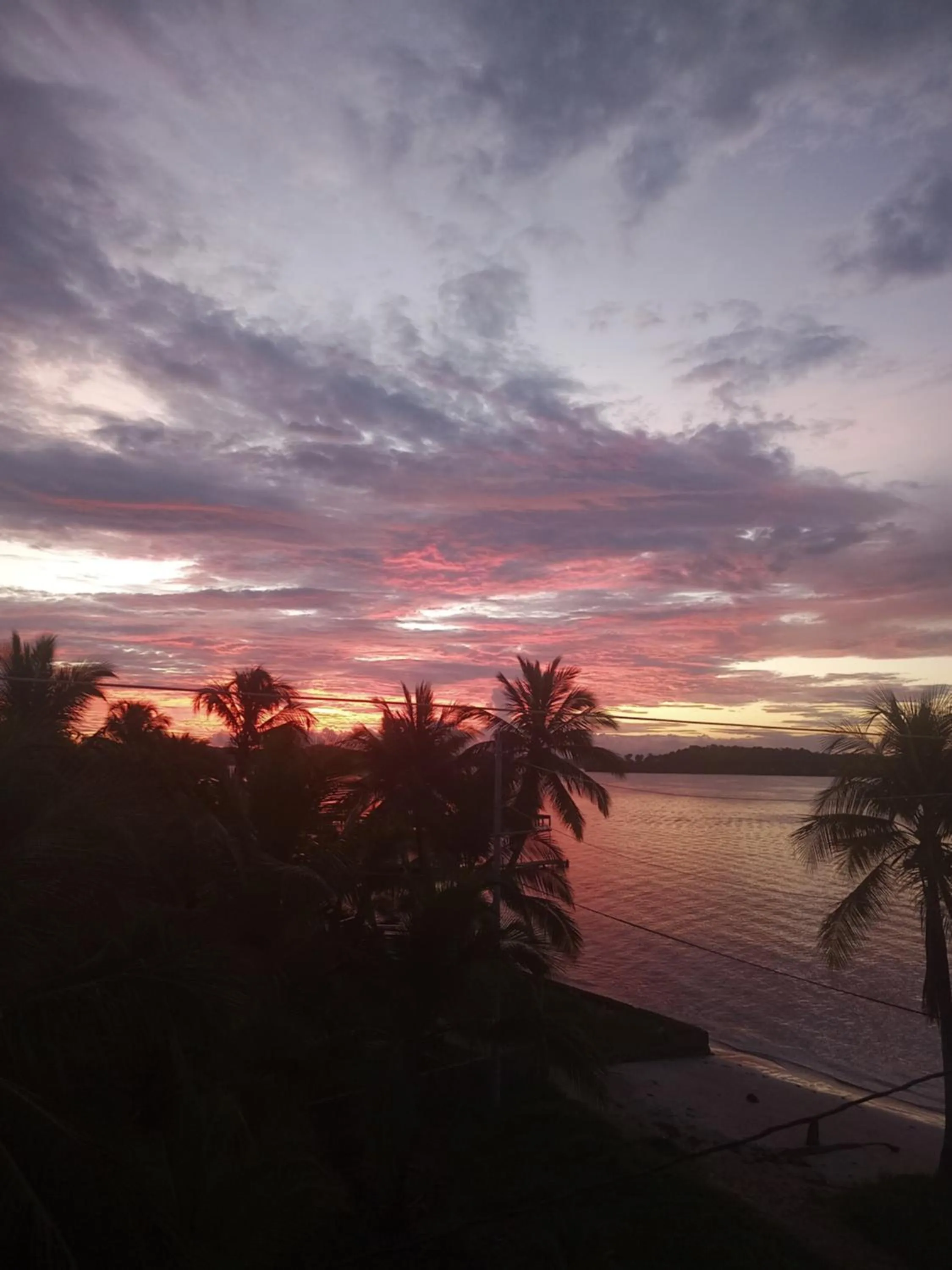 Natural landscape in Kevin Kondos