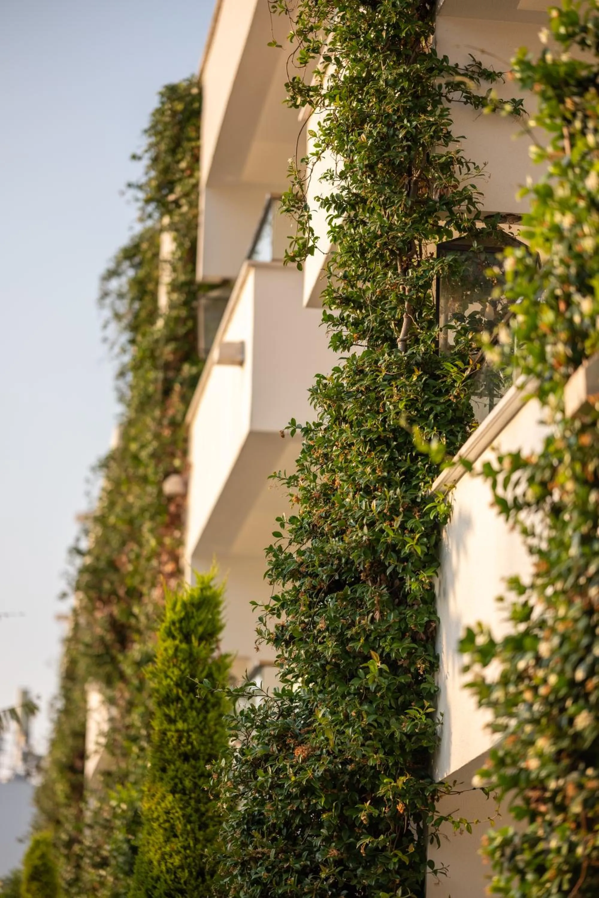 Property building in Palmonte Suites Hotel & SPA